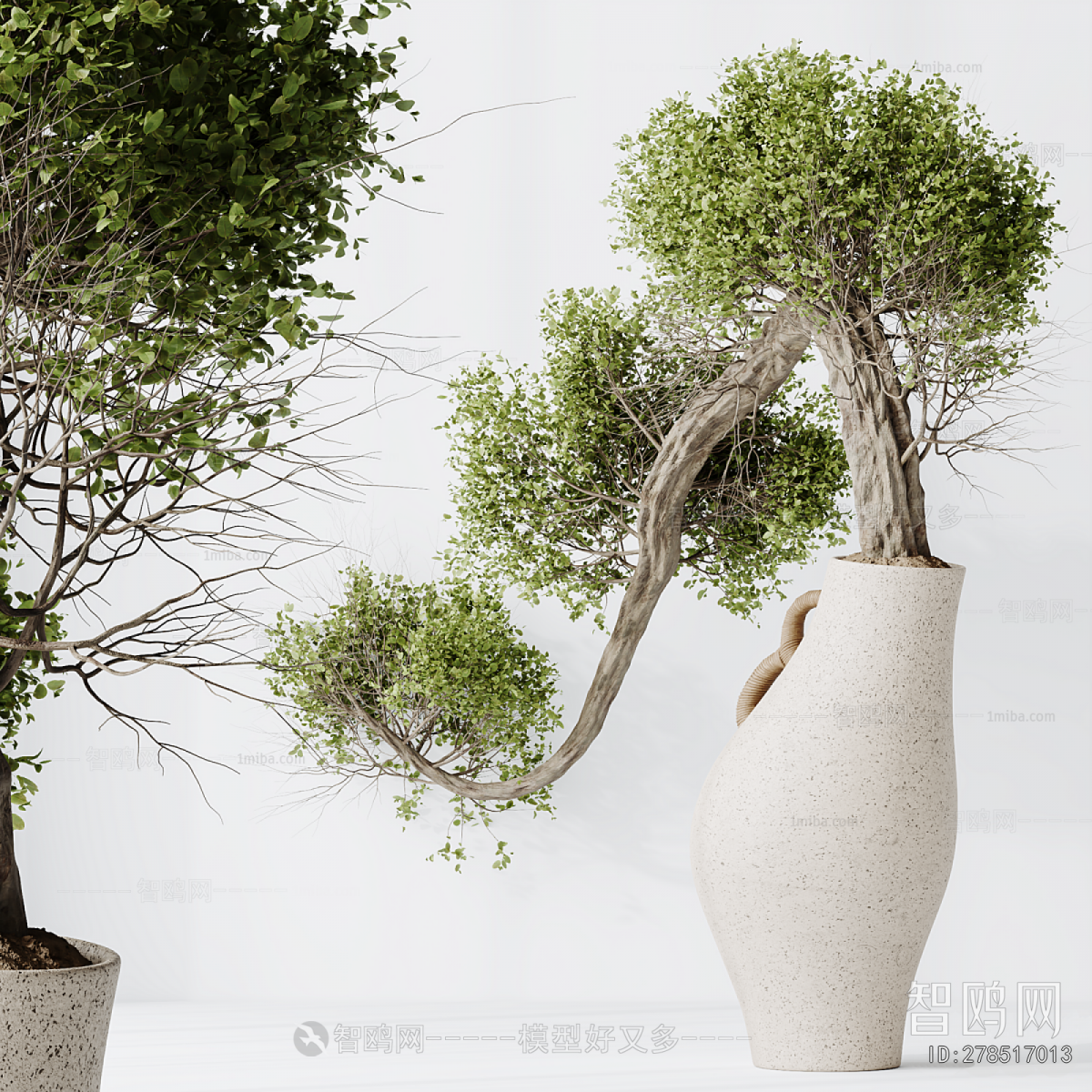 Modern Bonsai