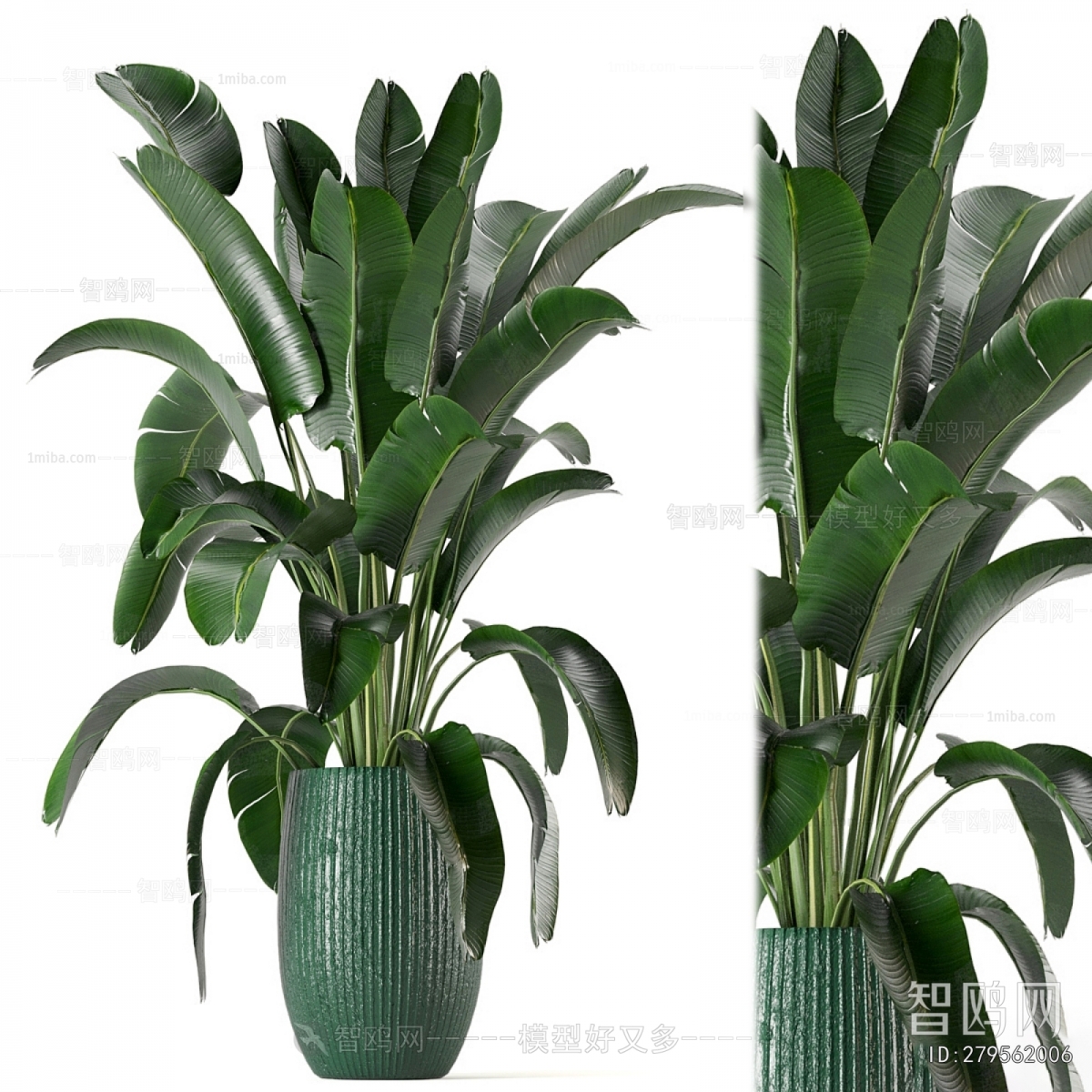 Modern Ground Green Plant Potted Plants