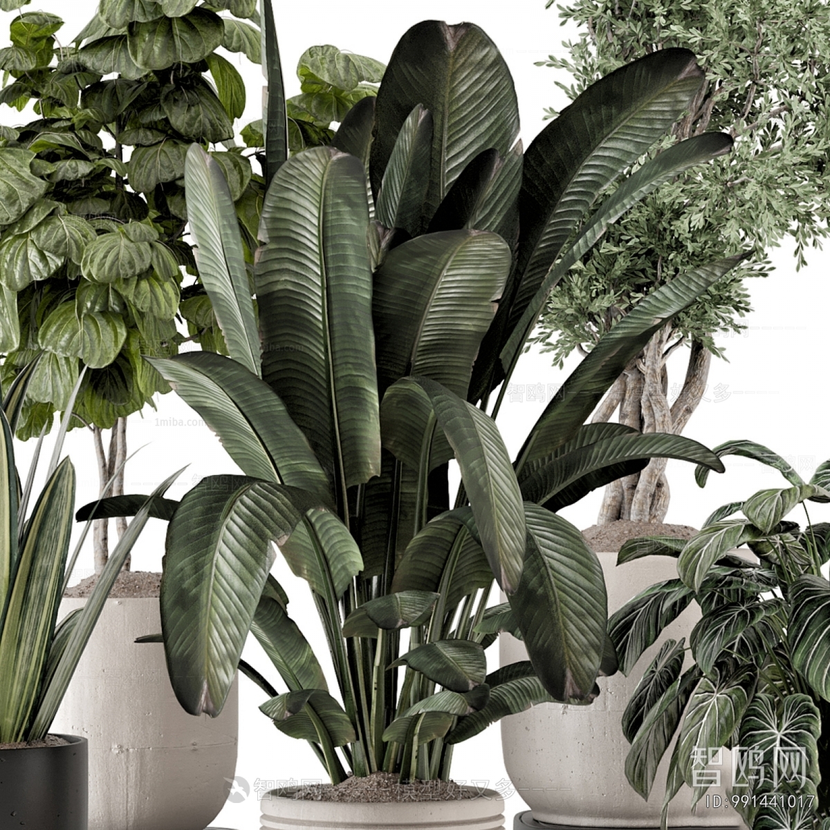 Modern Ground Green Plant Potted Plants