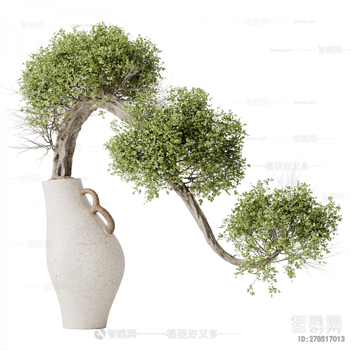 Modern Bonsai