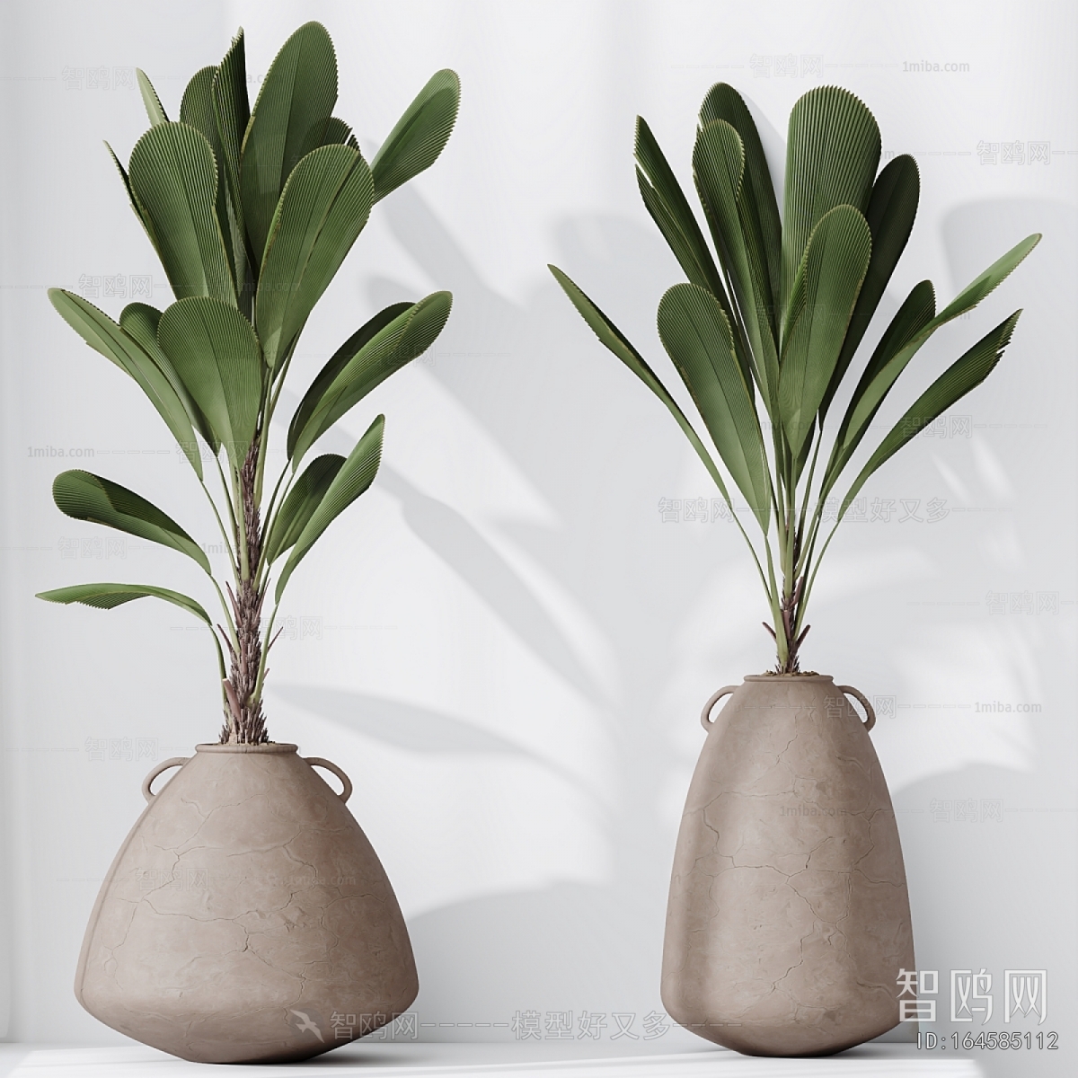 Modern Potted Green Plant