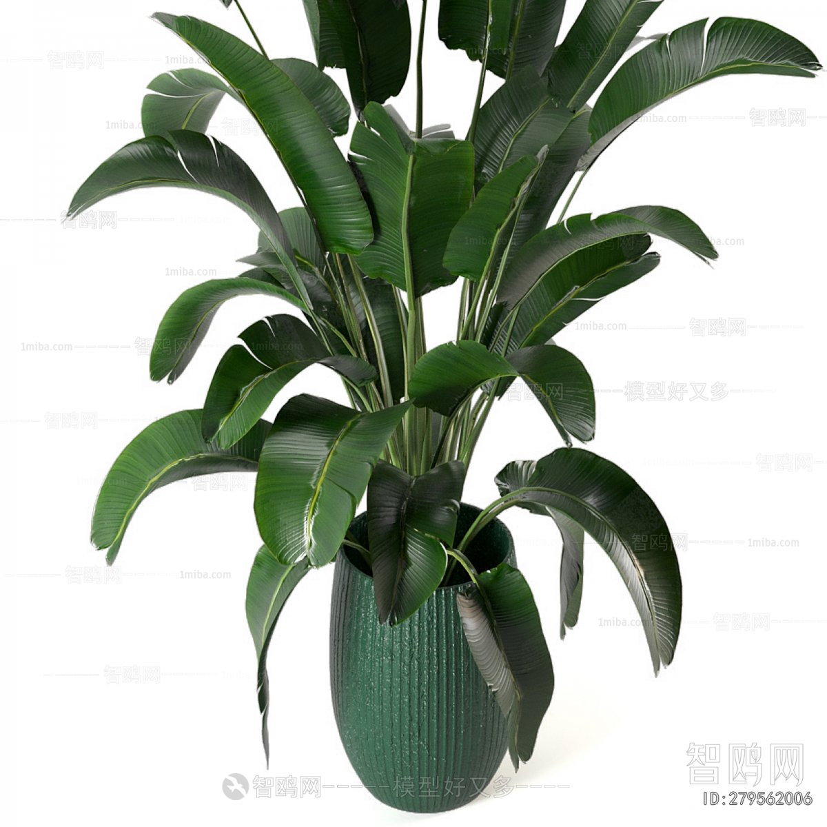 Modern Ground Green Plant Potted Plants