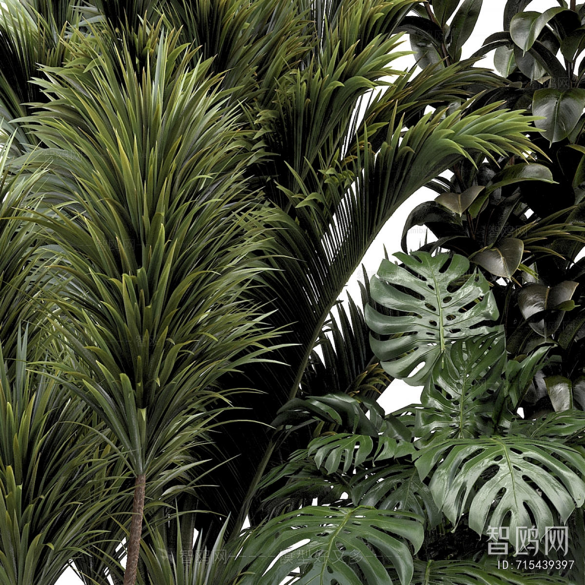 Modern Ground Green Plant Potted Plants