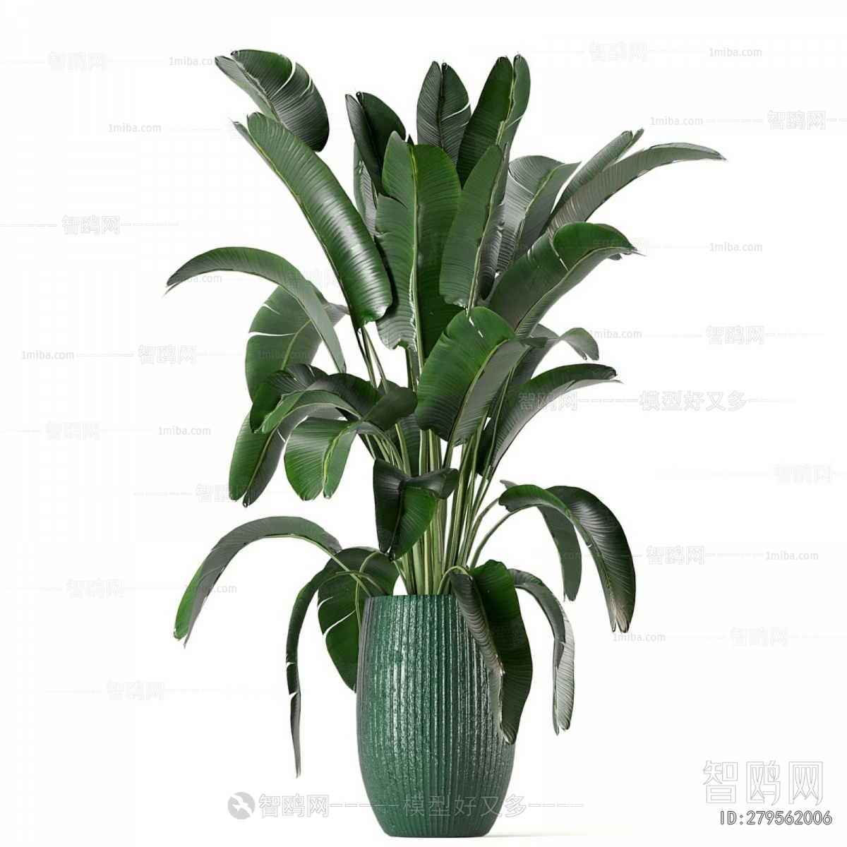 Modern Ground Green Plant Potted Plants