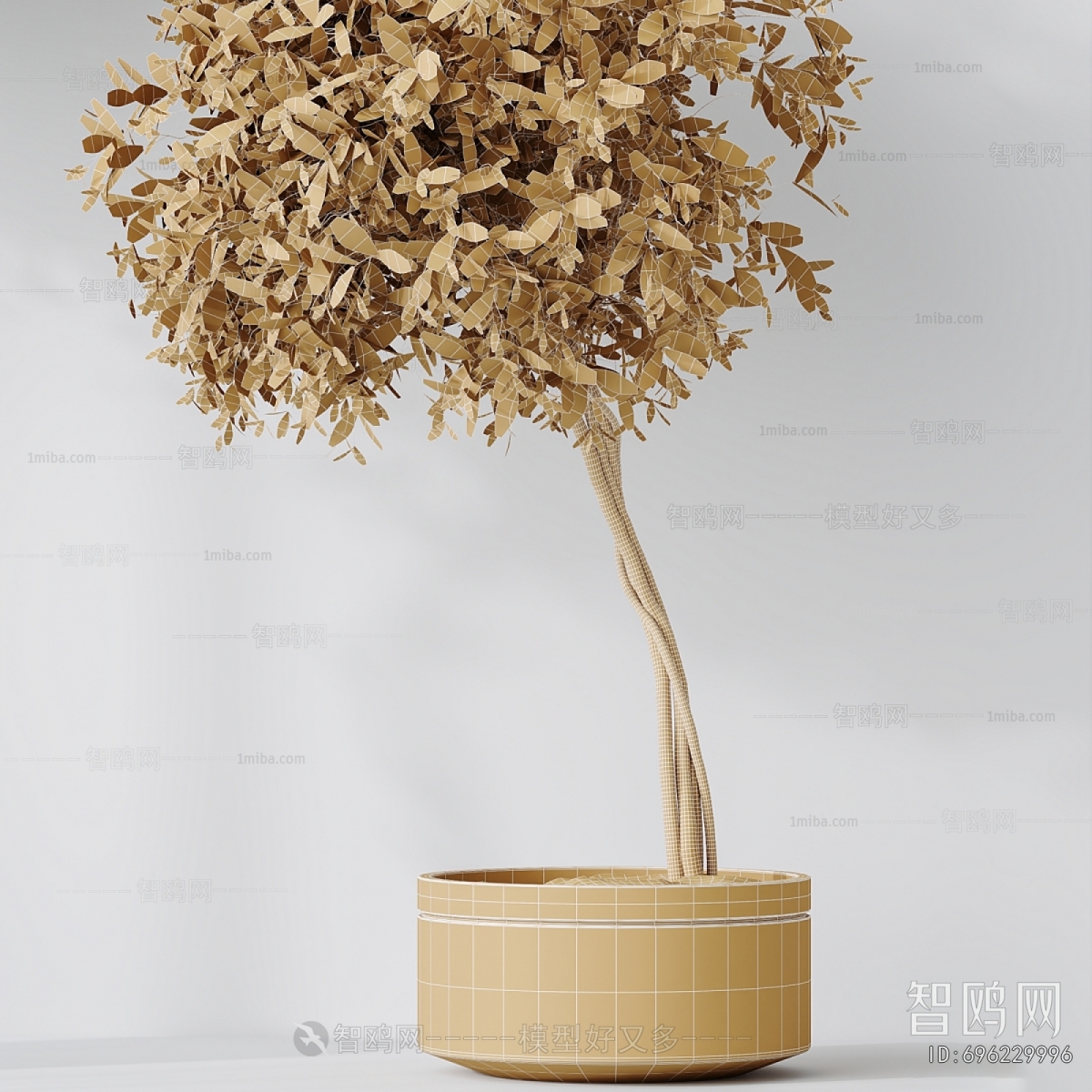 Modern Ground Green Plant Potted Plants