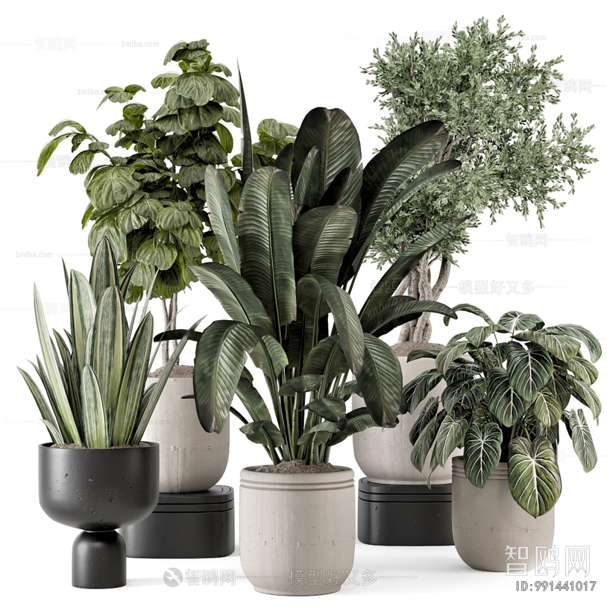 Modern Ground Green Plant Potted Plants