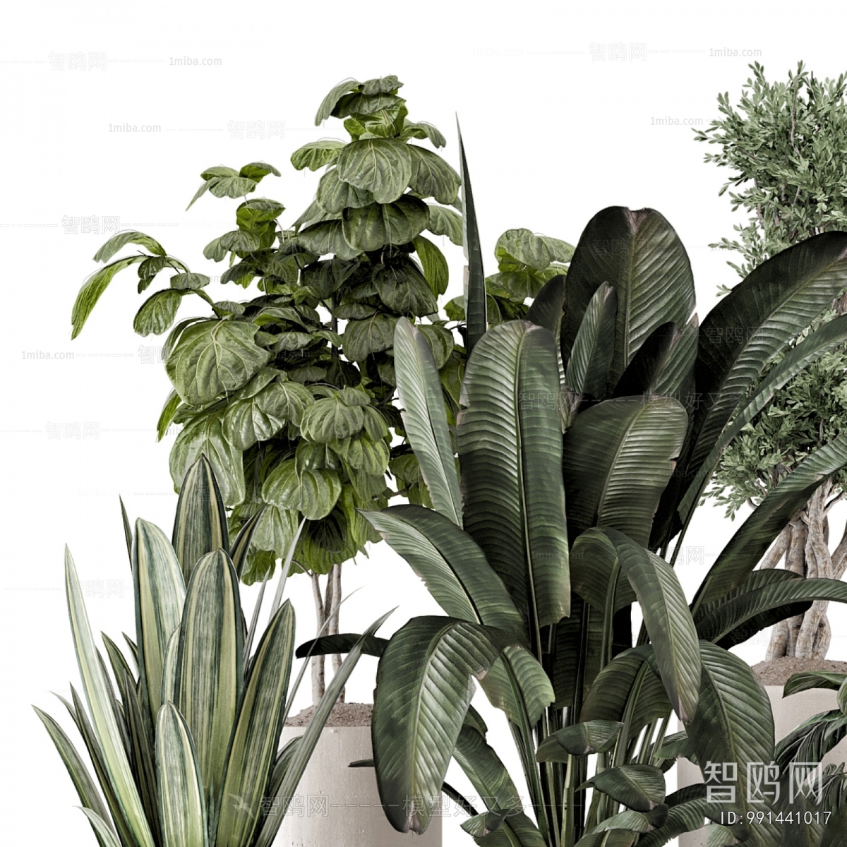 Modern Ground Green Plant Potted Plants