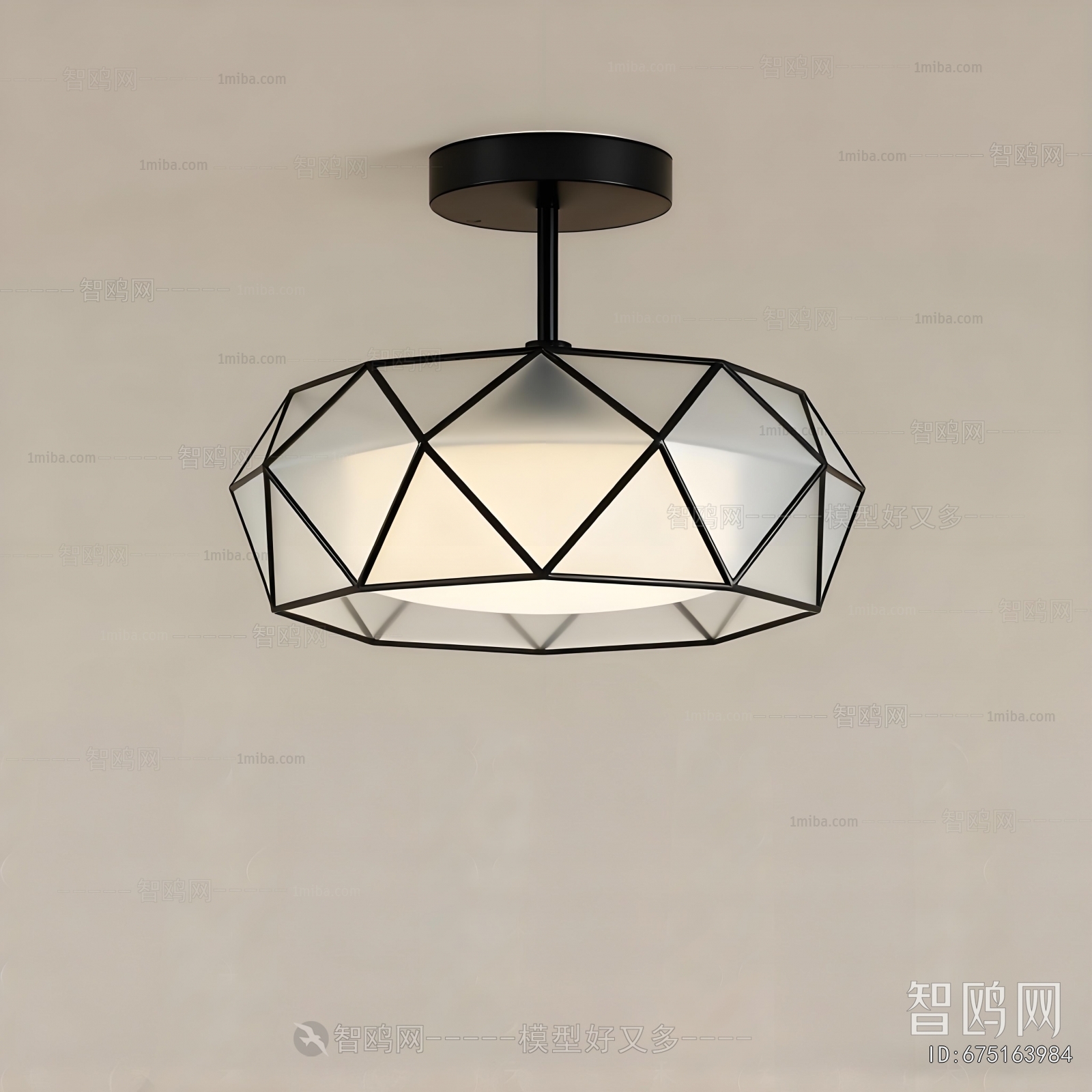 Modern Ceiling Ceiling Lamp