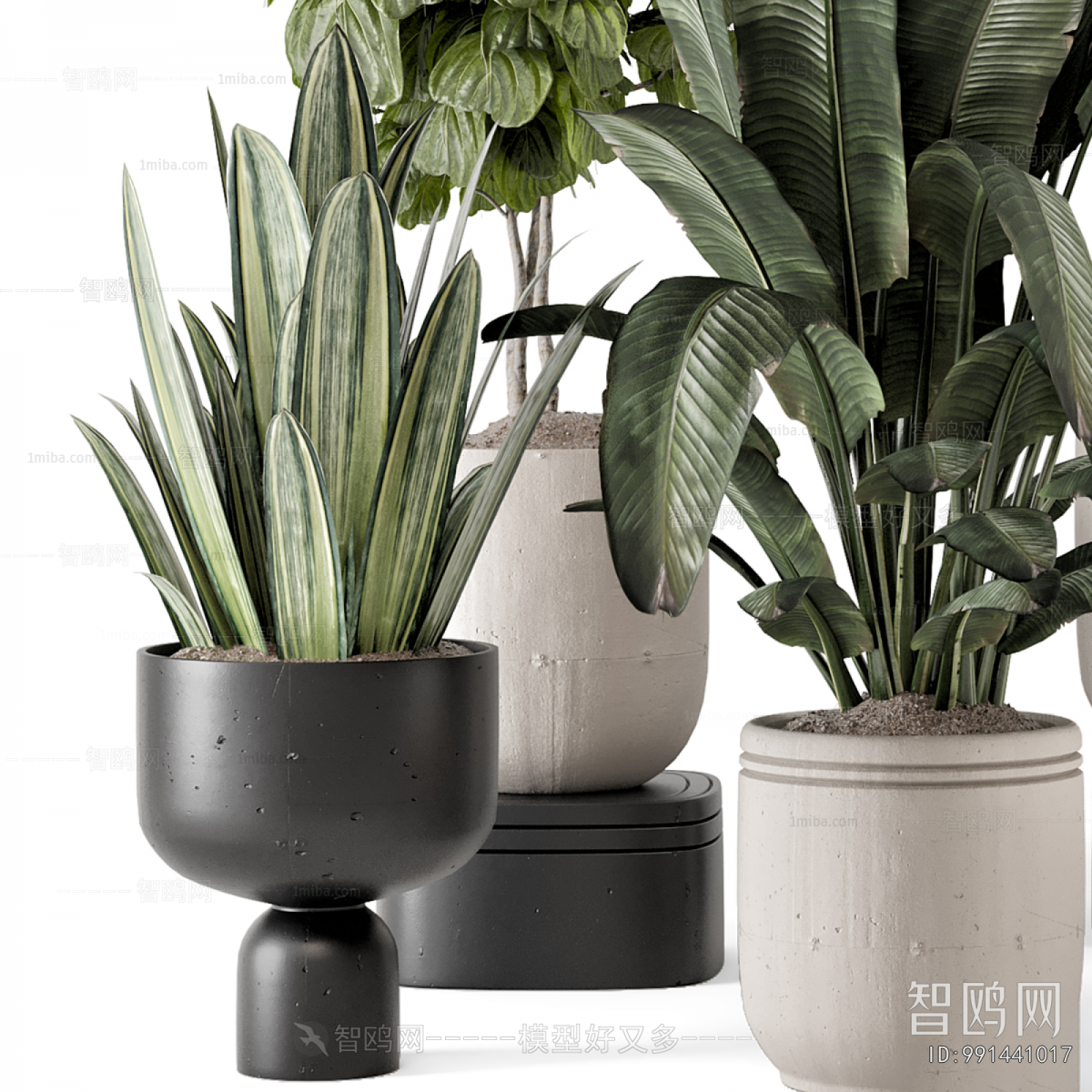 Modern Ground Green Plant Potted Plants