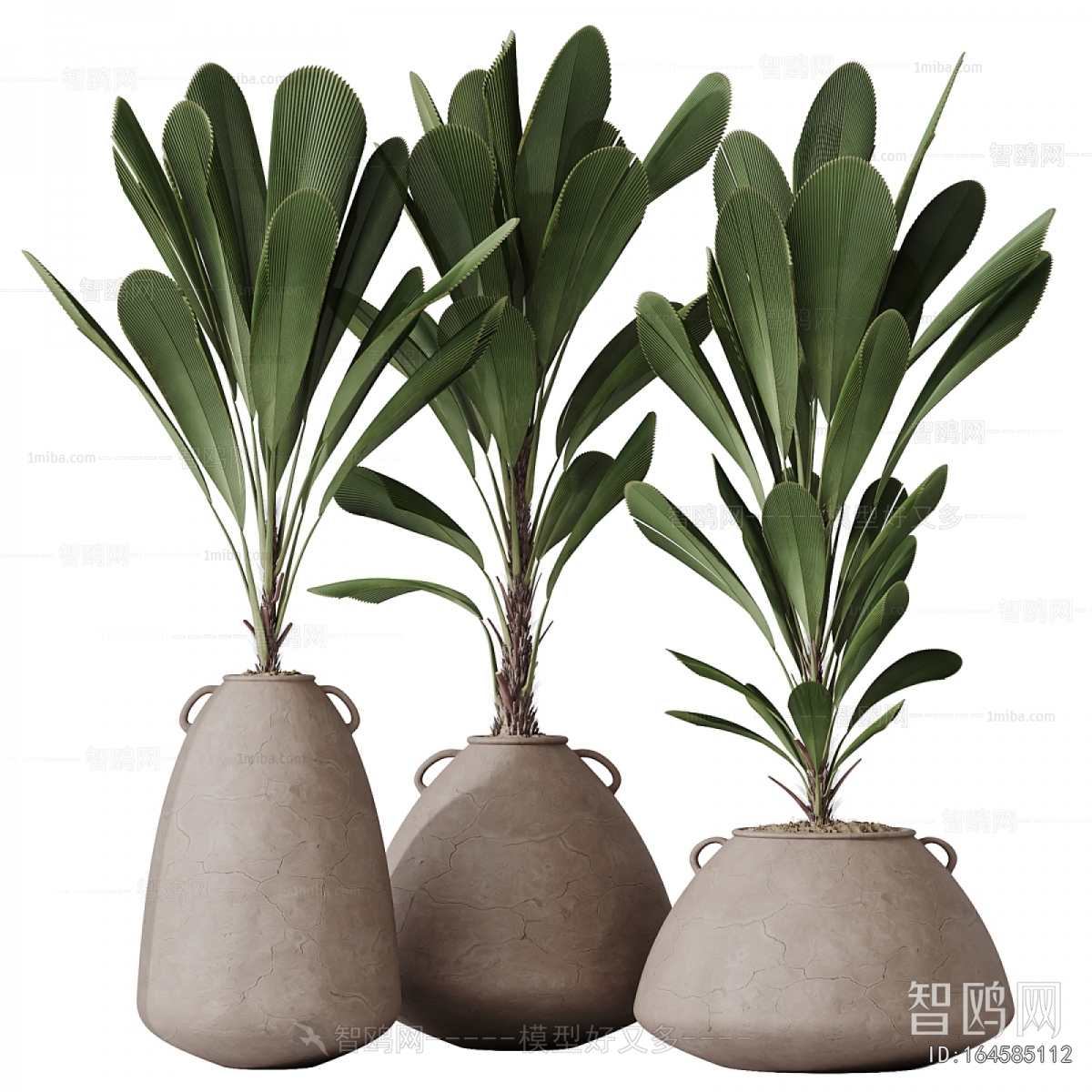 Modern Potted Green Plant