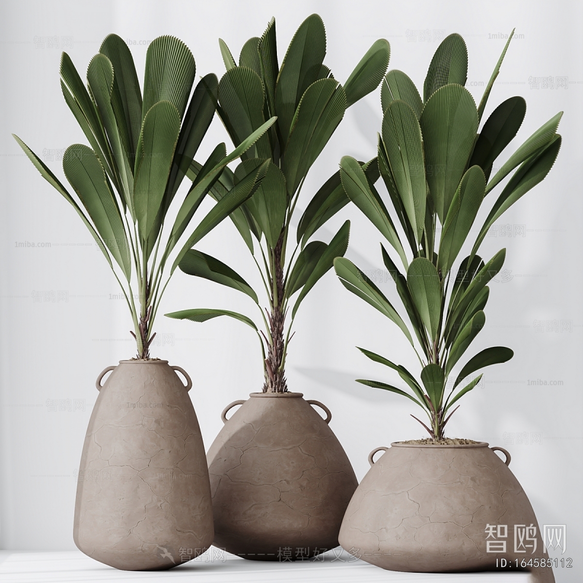 Modern Potted Green Plant