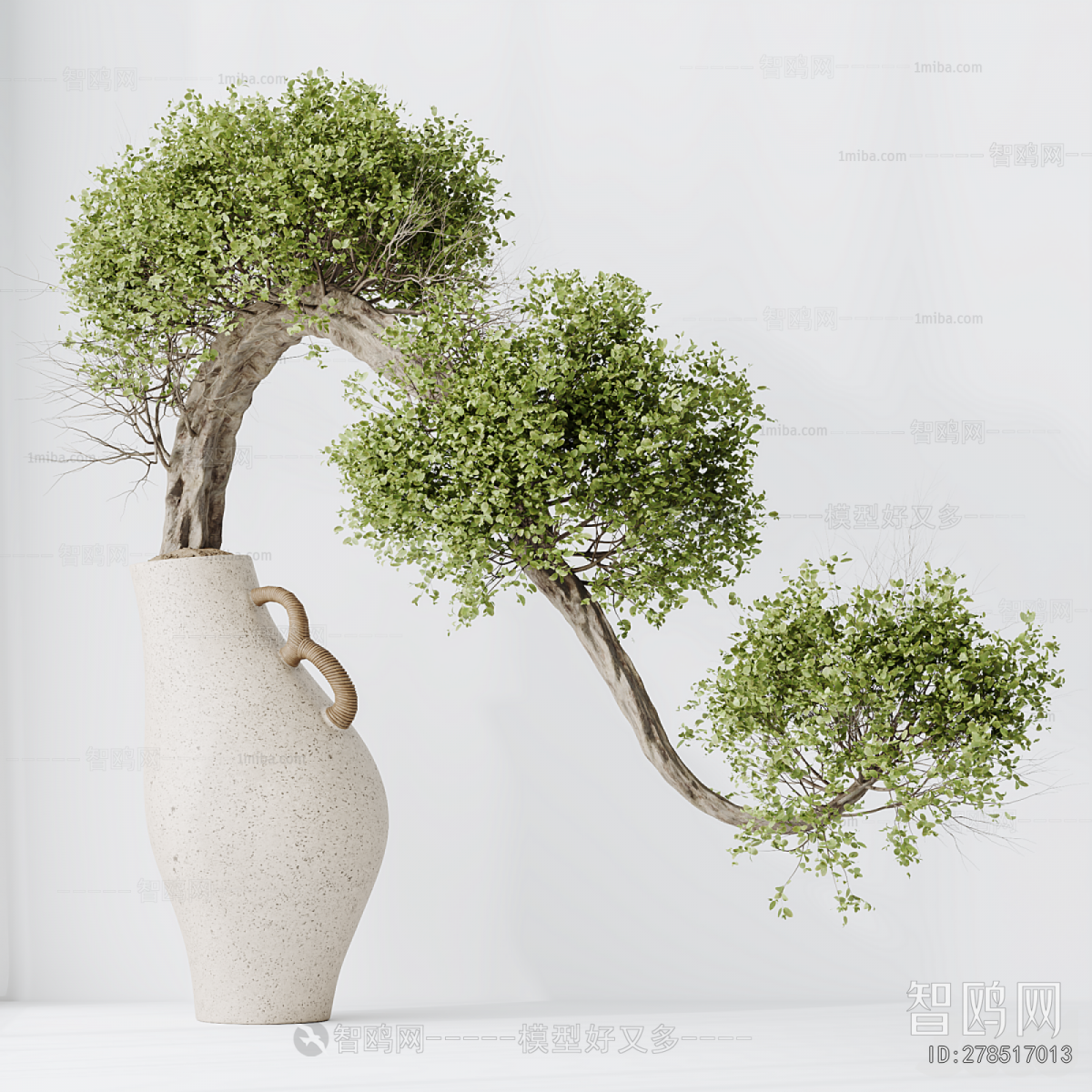 Modern Bonsai