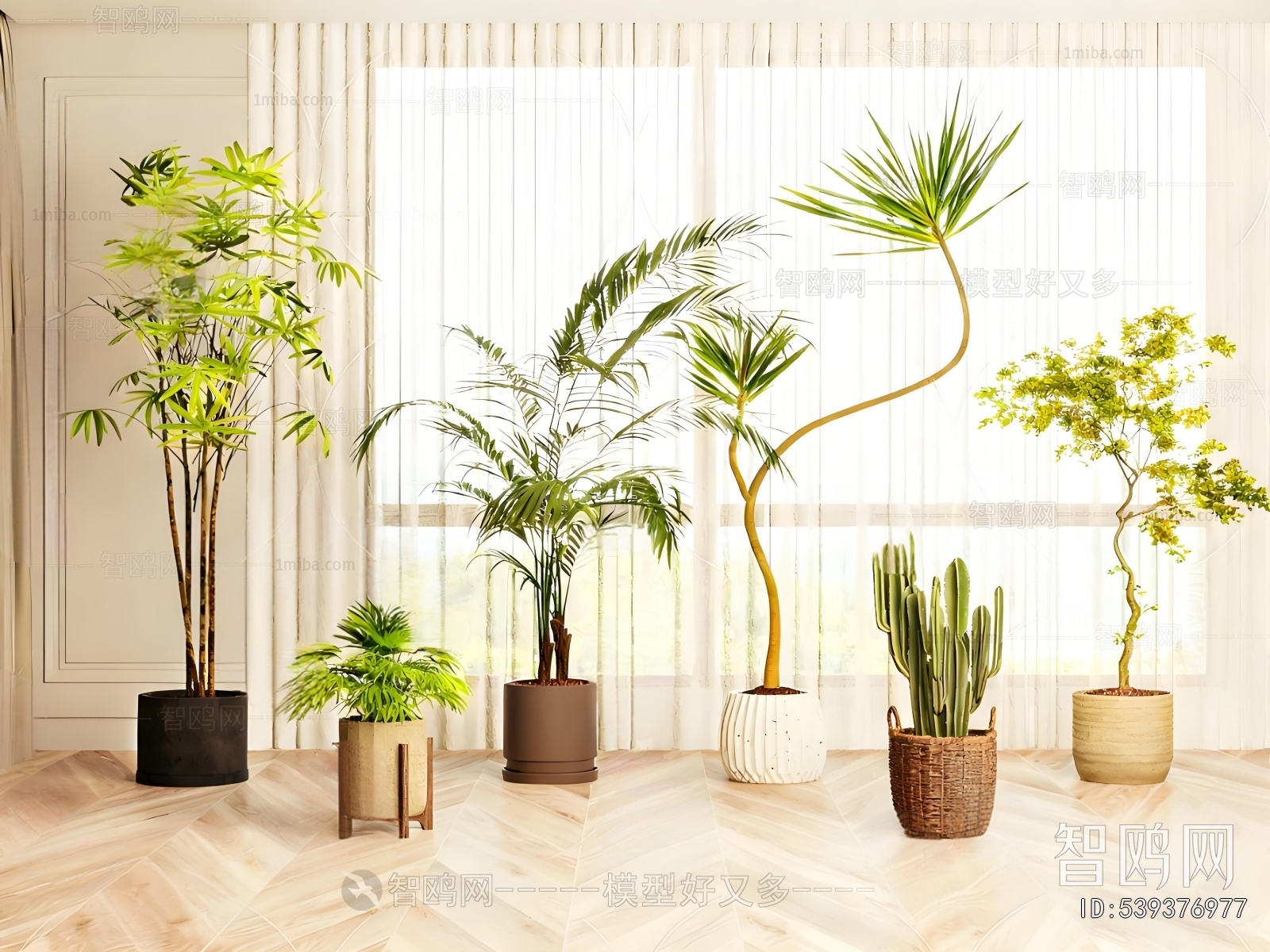 Modern Ground Green Plant Potted Plants
