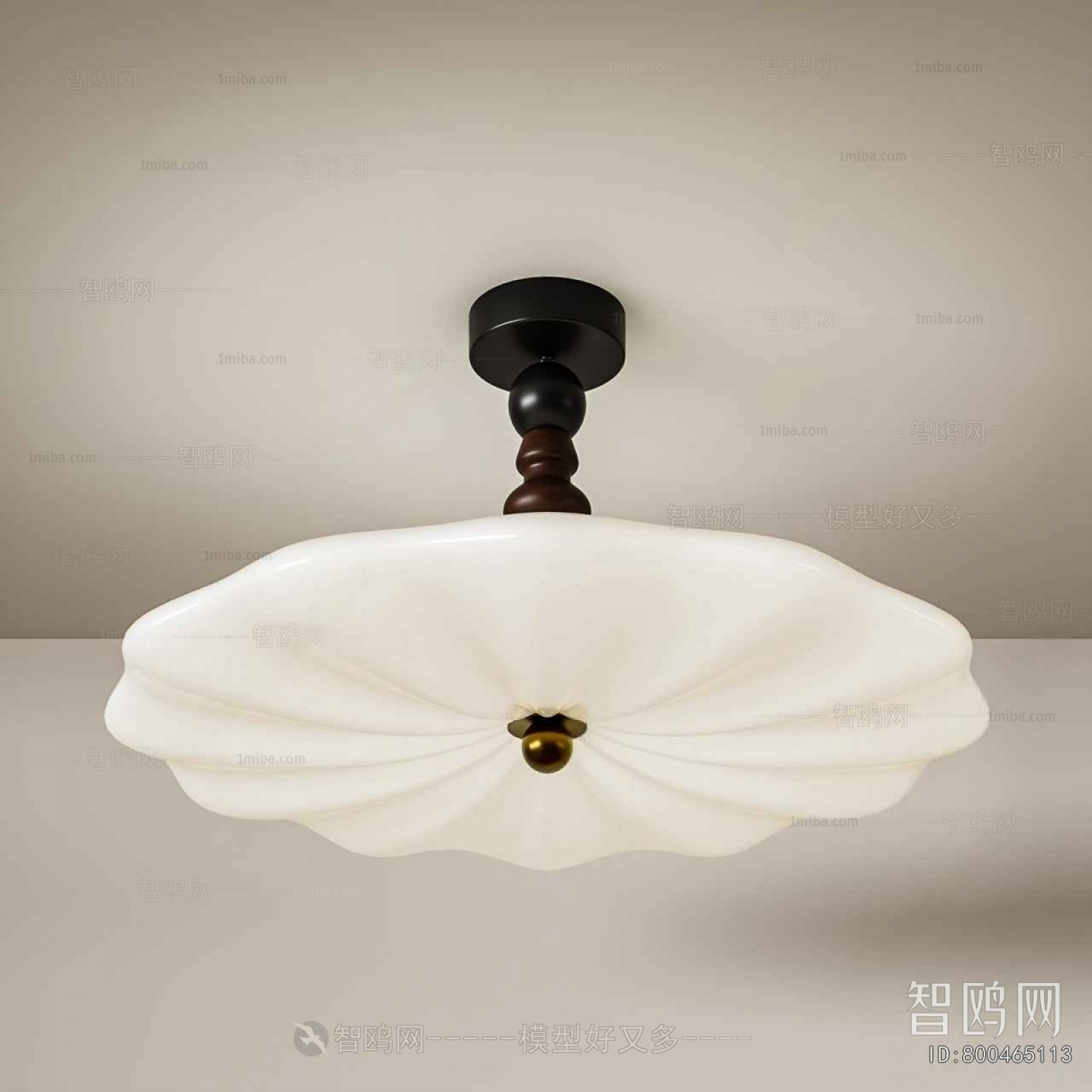 Modern Ceiling Ceiling Lamp