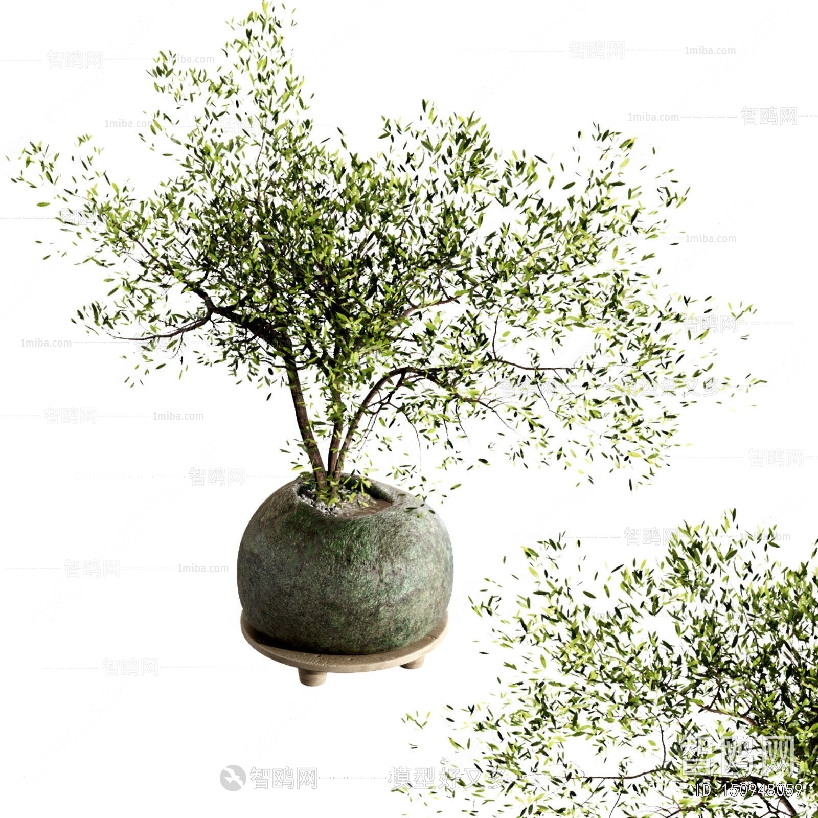 Modern Potted Green Plant