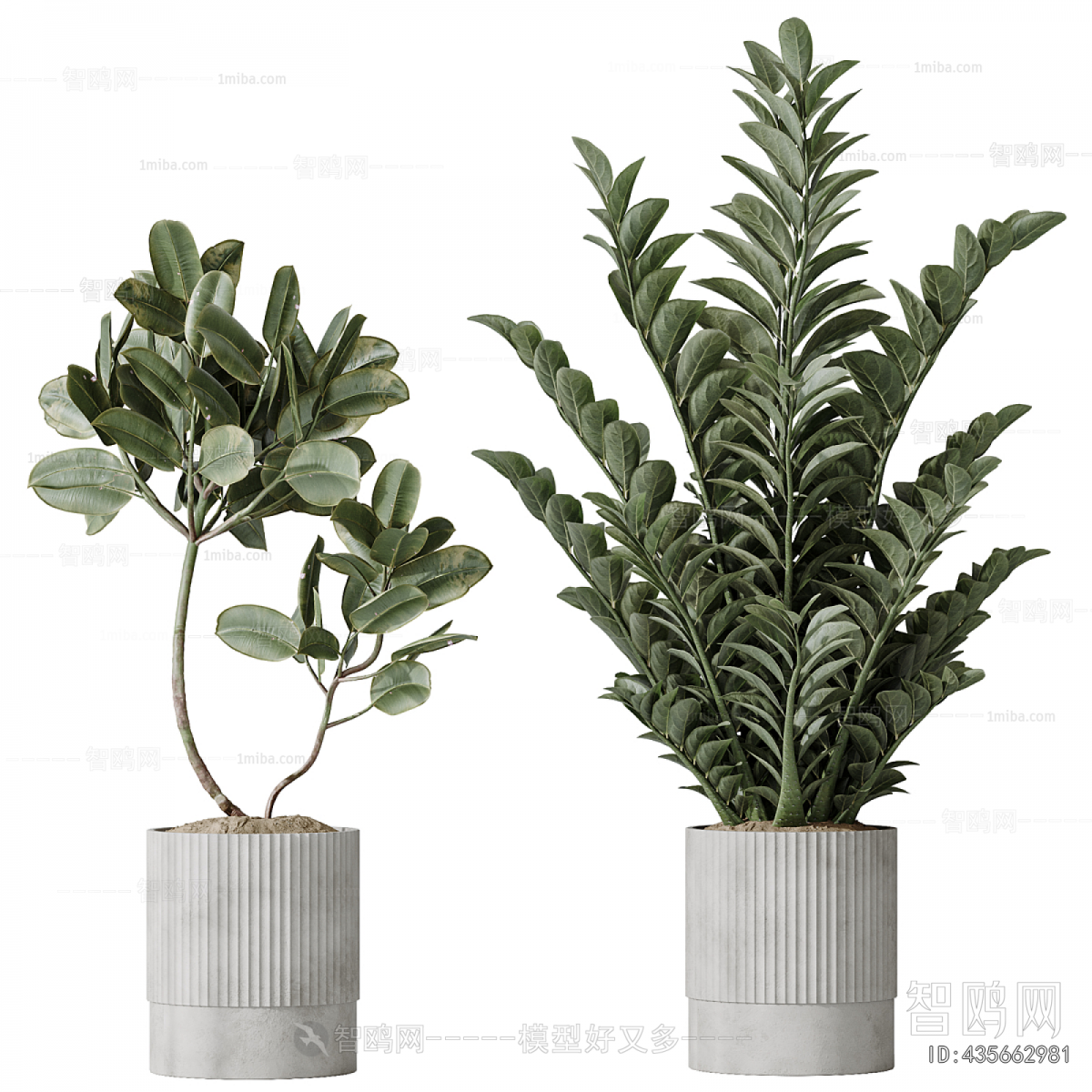 Modern Ground Green Plant Potted Plants
