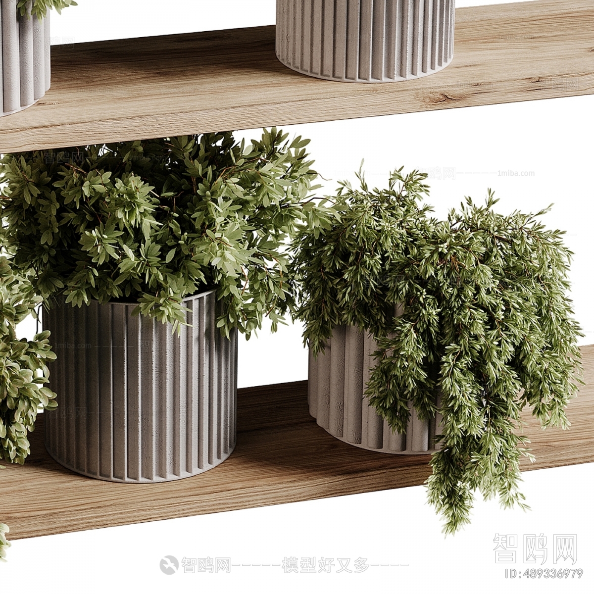 Modern Potted Green Plant