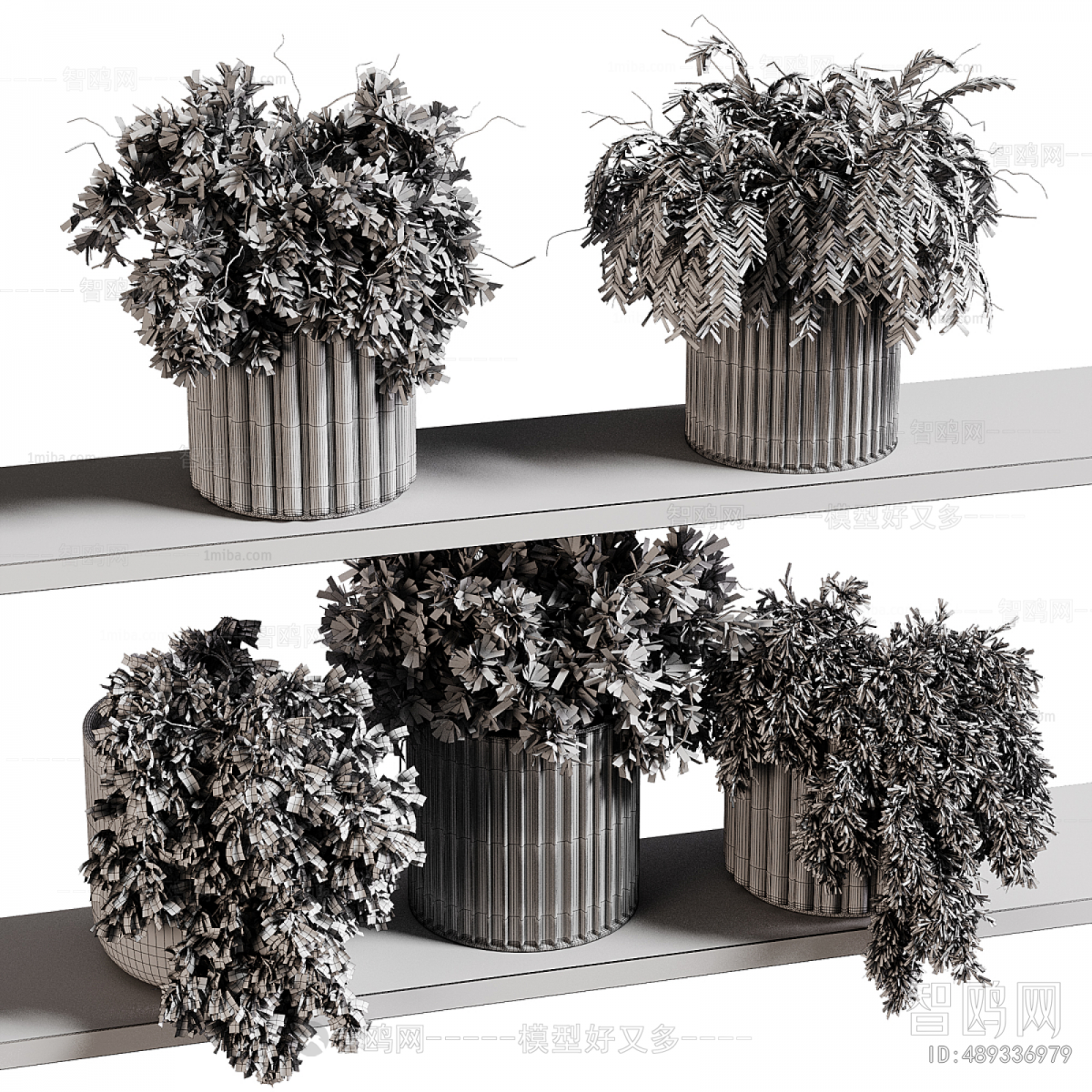 Modern Potted Green Plant