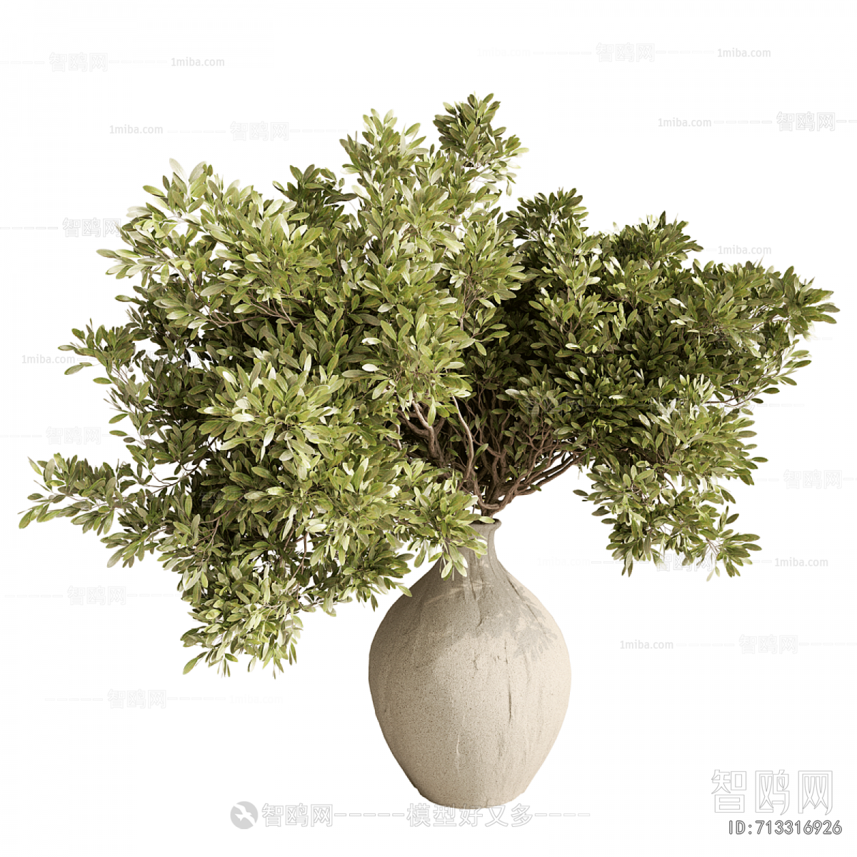 Modern Potted Green Plant