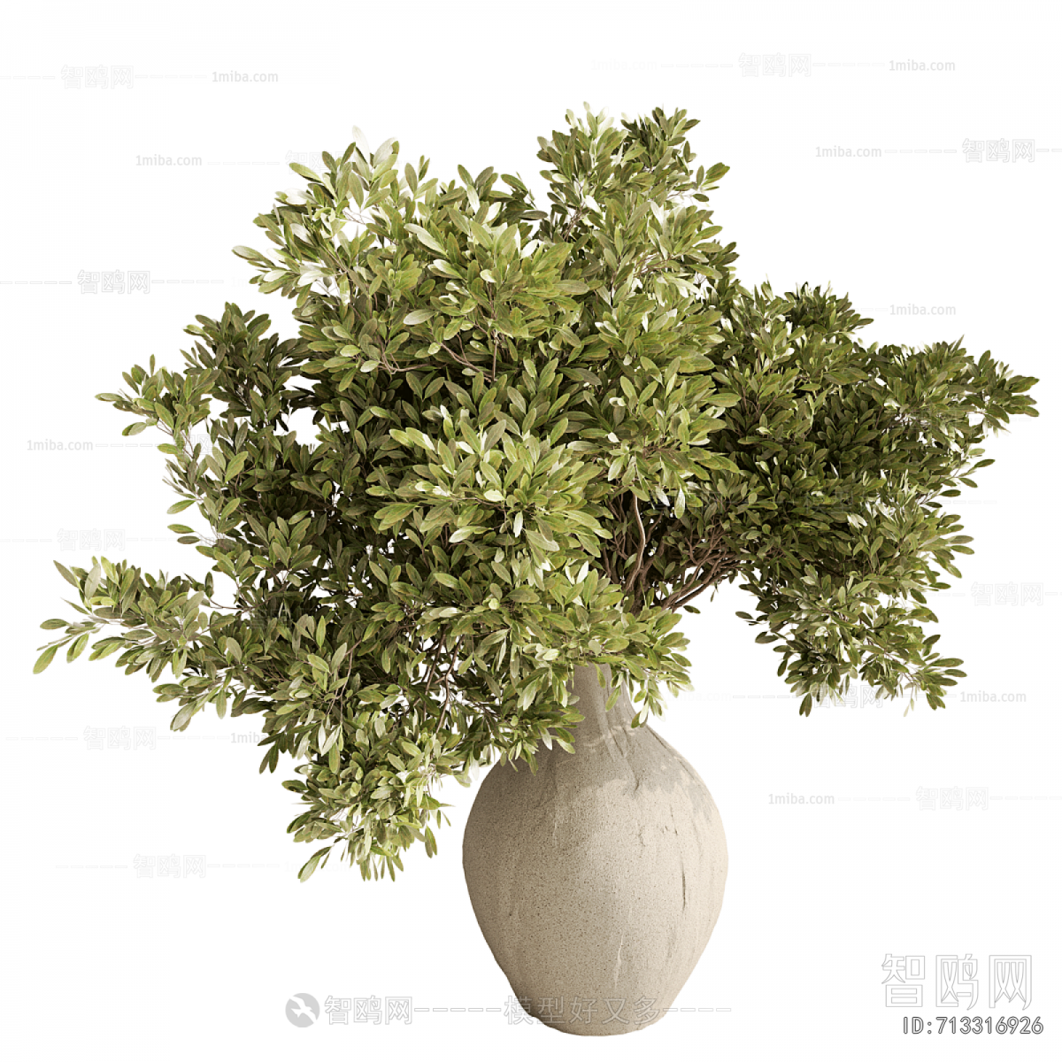 Modern Potted Green Plant