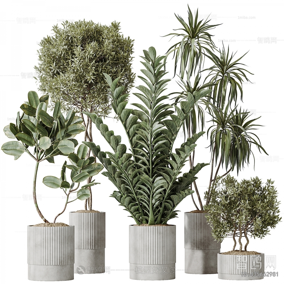 Modern Ground Green Plant Potted Plants