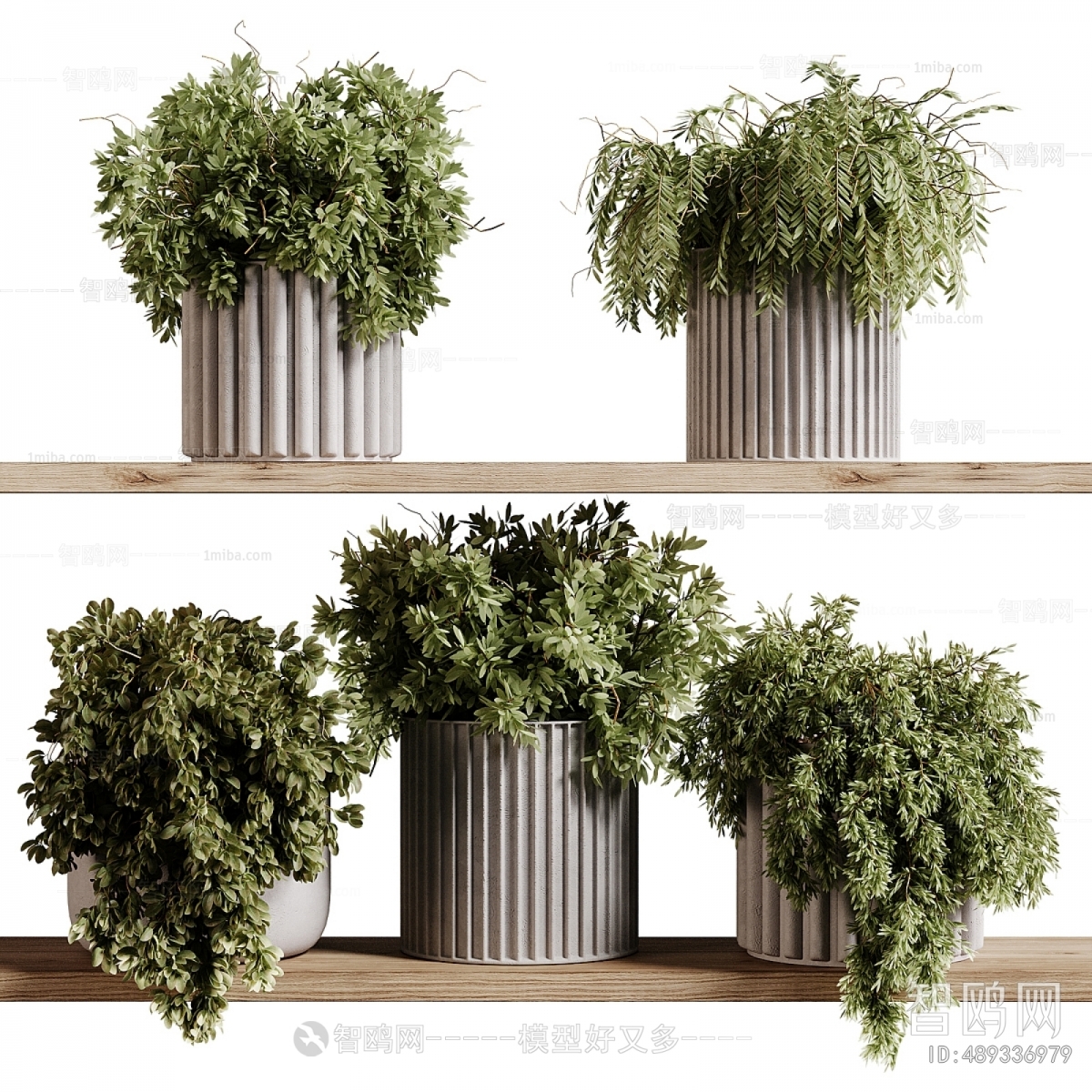 Modern Potted Green Plant