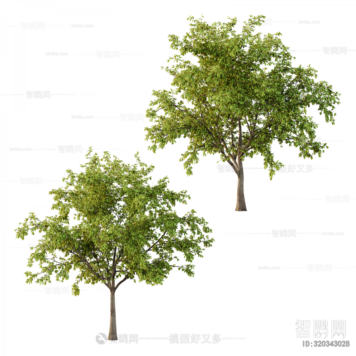 Modern Tree