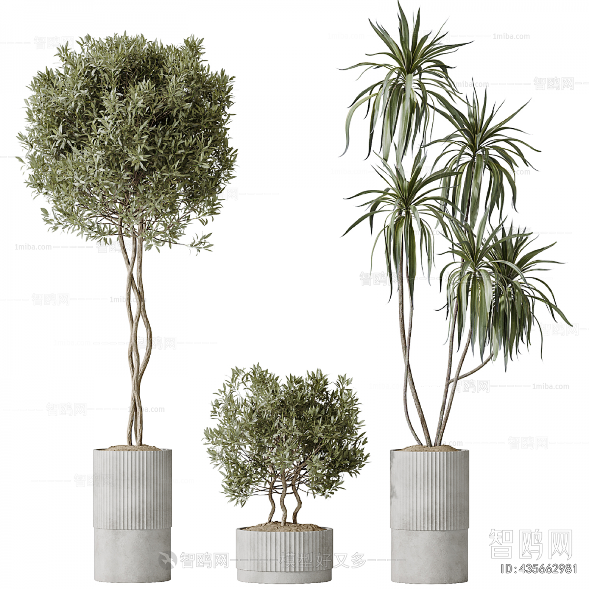 Modern Ground Green Plant Potted Plants