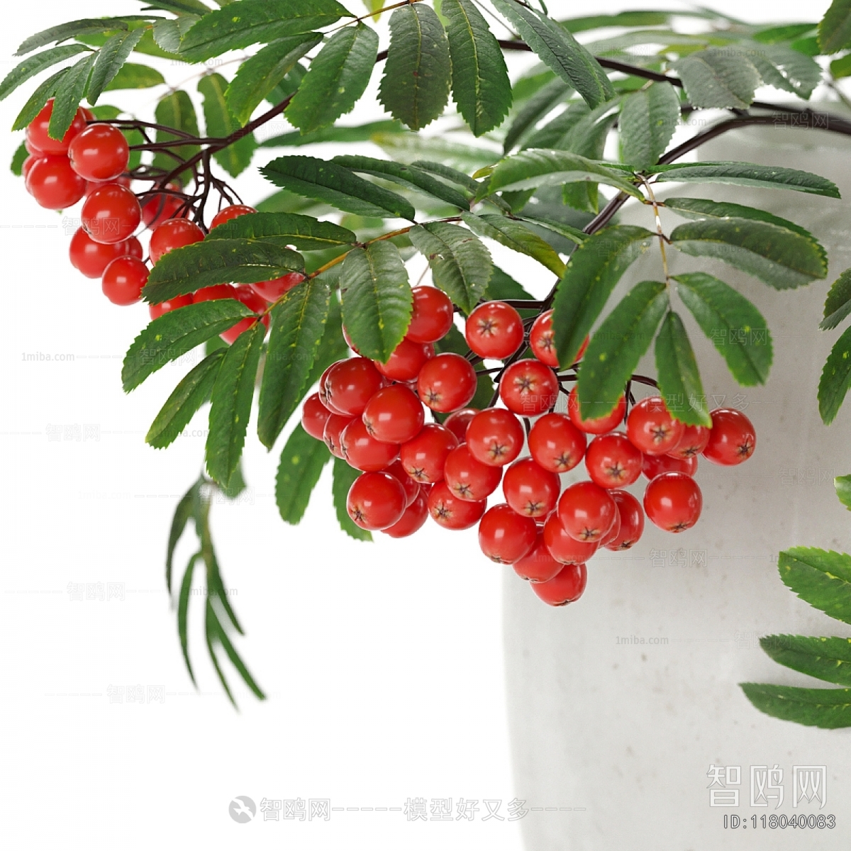 Modern Potted Green Plant