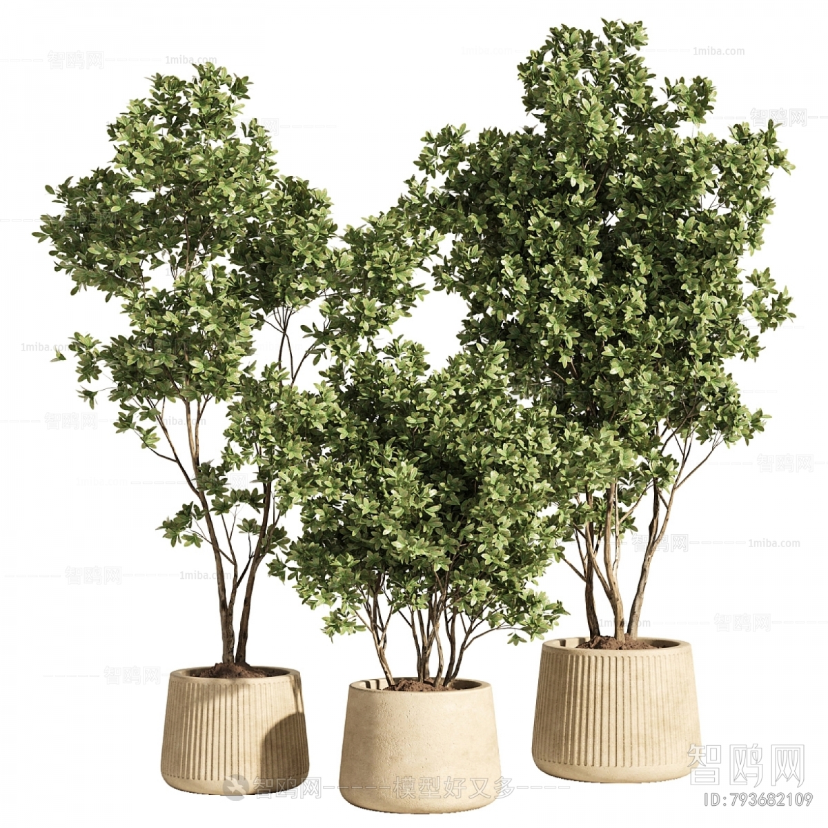 Modern Ground Green Plant Potted Plants
