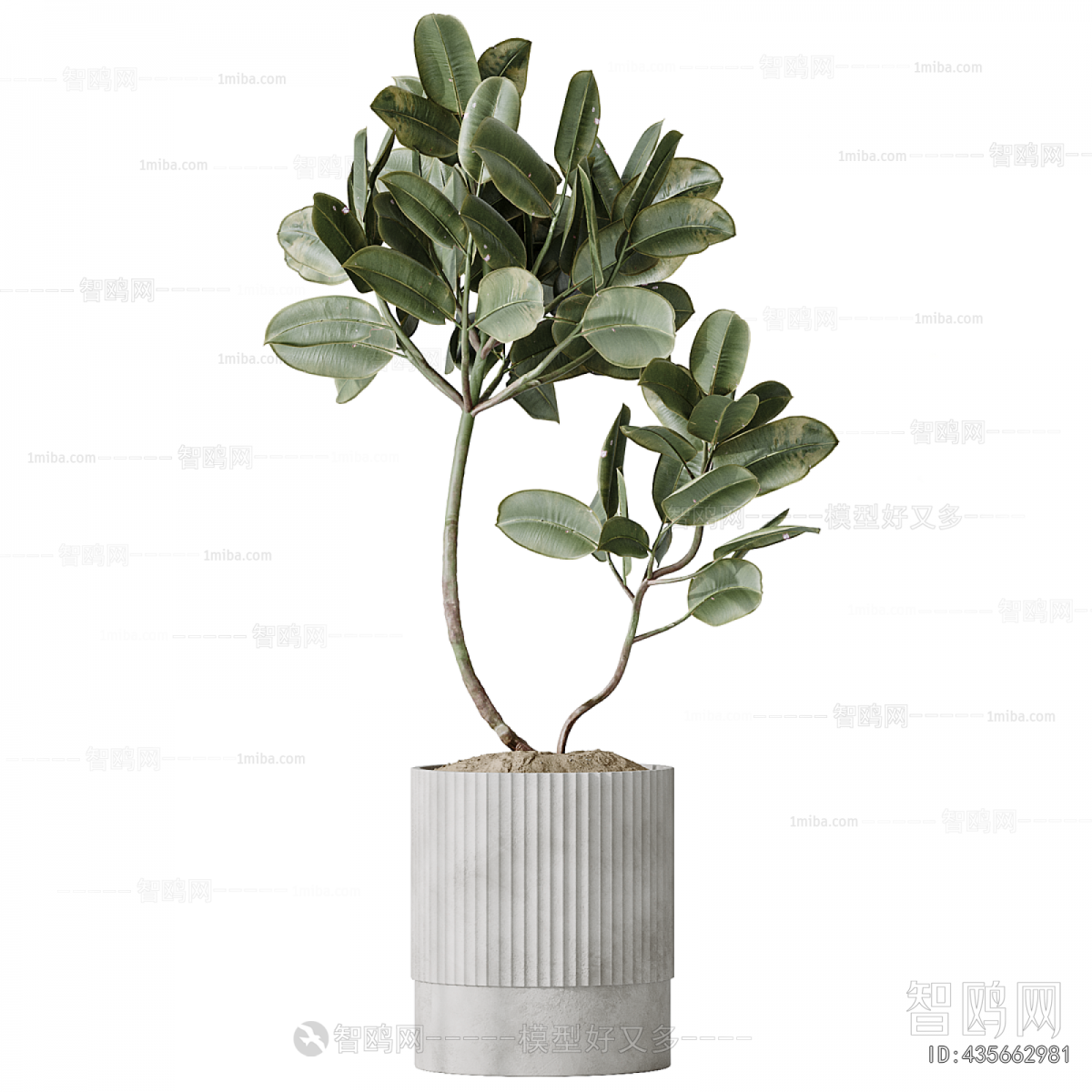 Modern Ground Green Plant Potted Plants