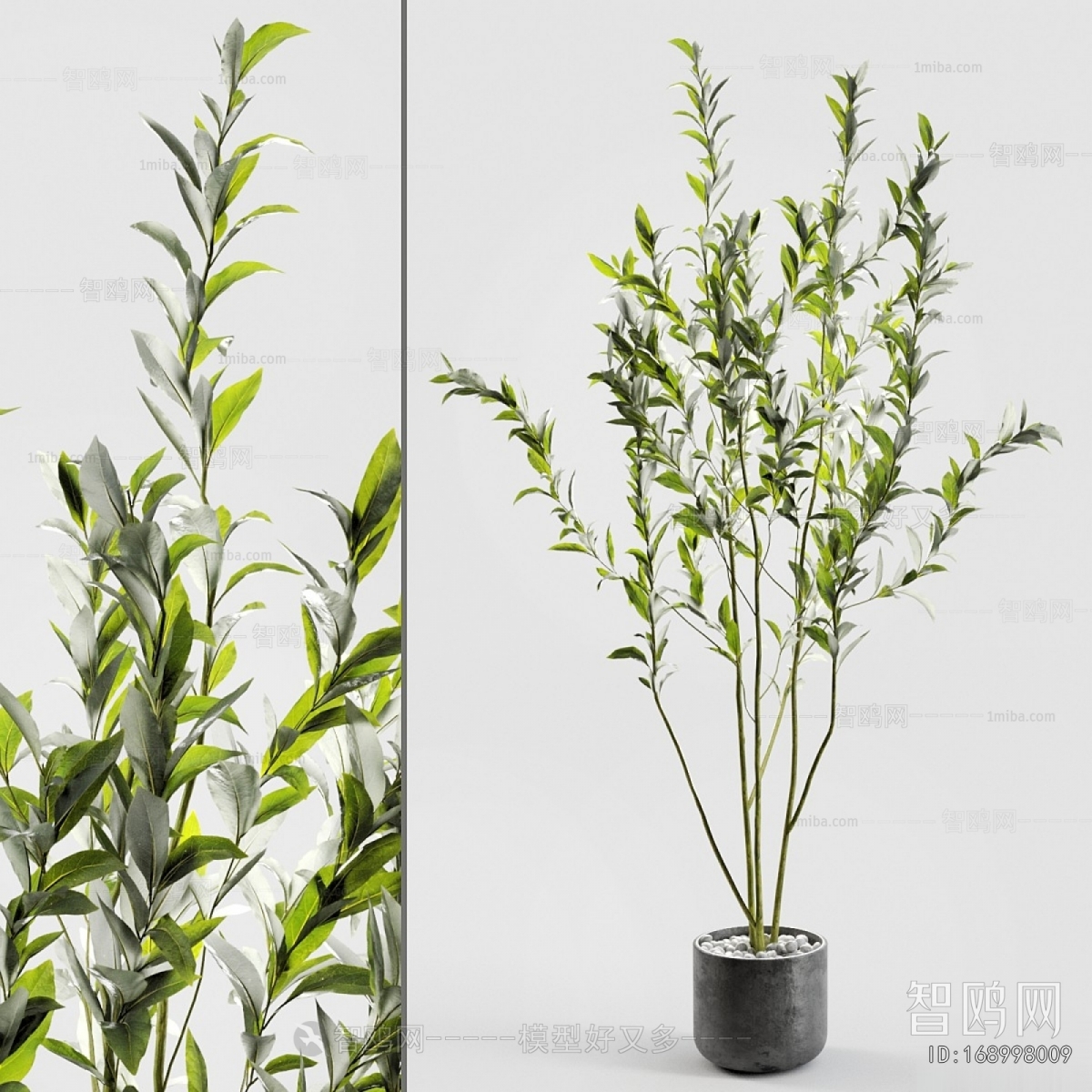 Modern Ground Green Plant Potted Plants