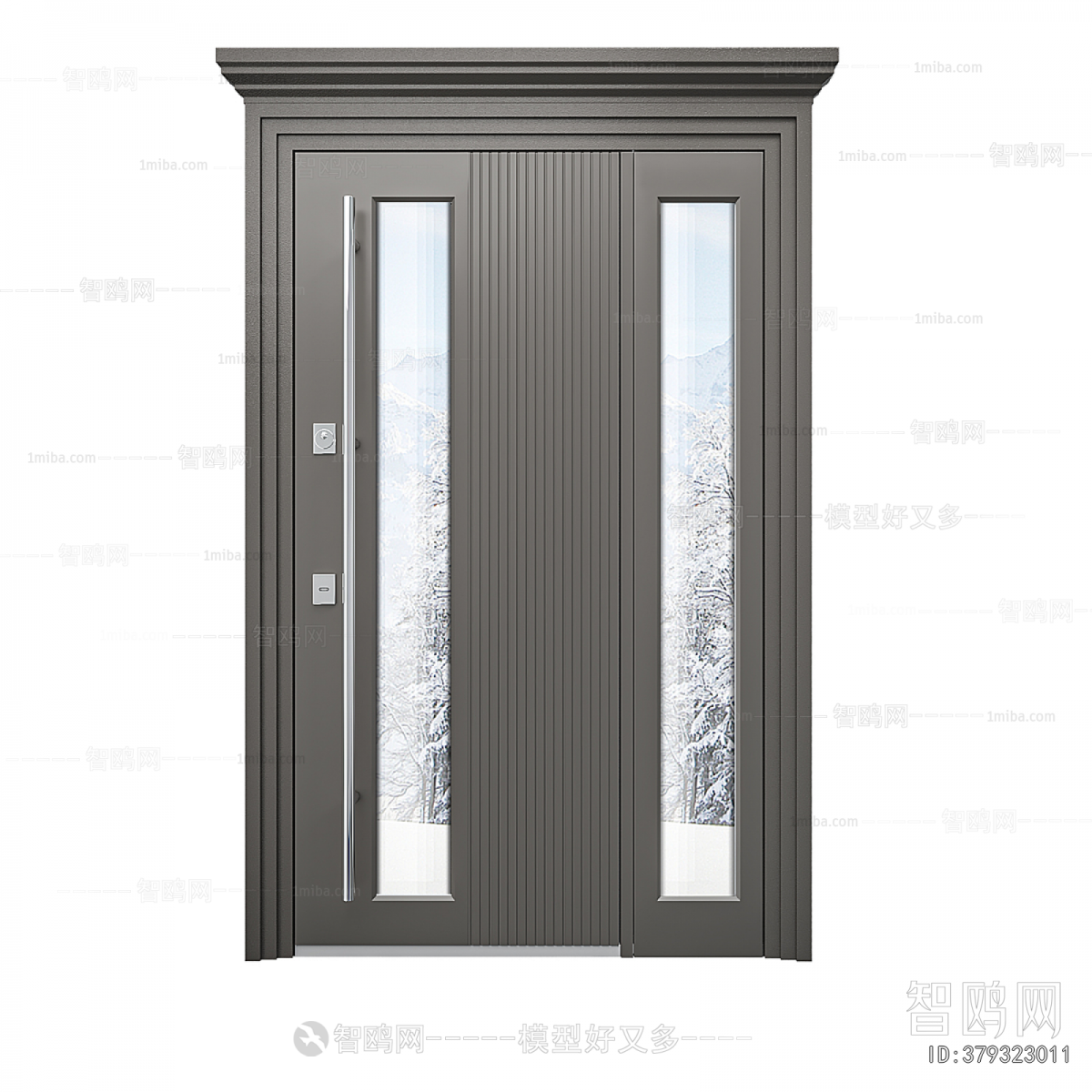 Modern Entrance Door