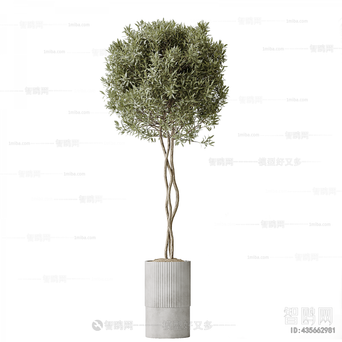 Modern Ground Green Plant Potted Plants