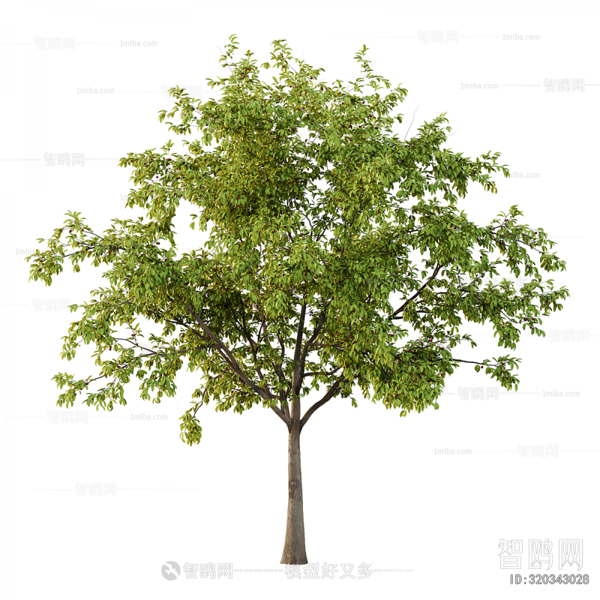 Modern Tree