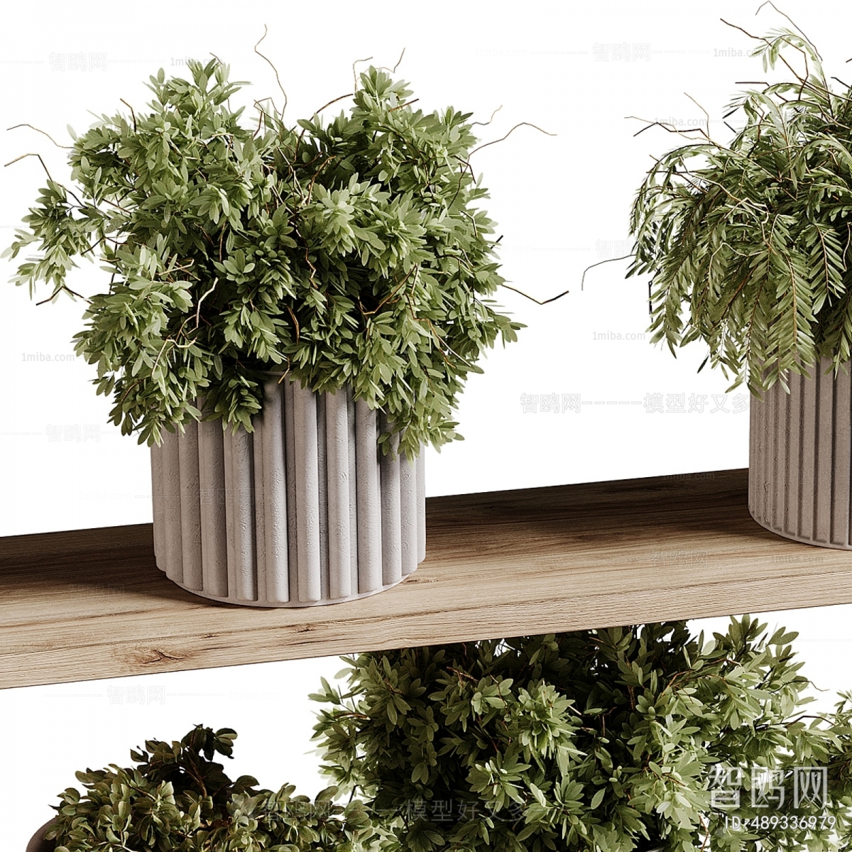 Modern Potted Green Plant