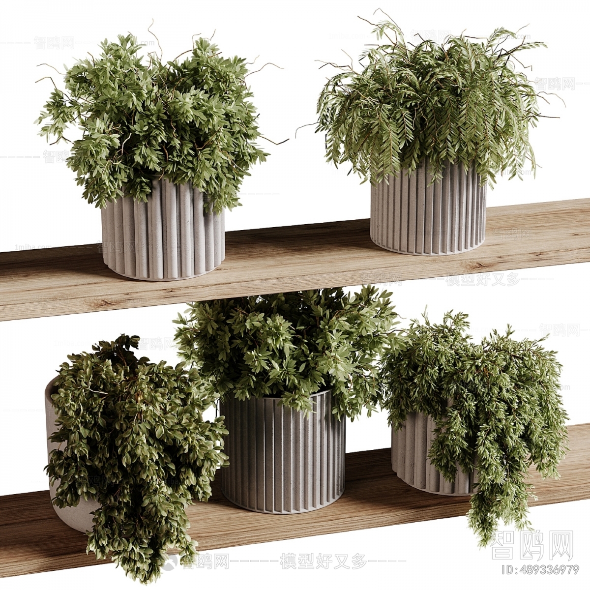 Modern Potted Green Plant