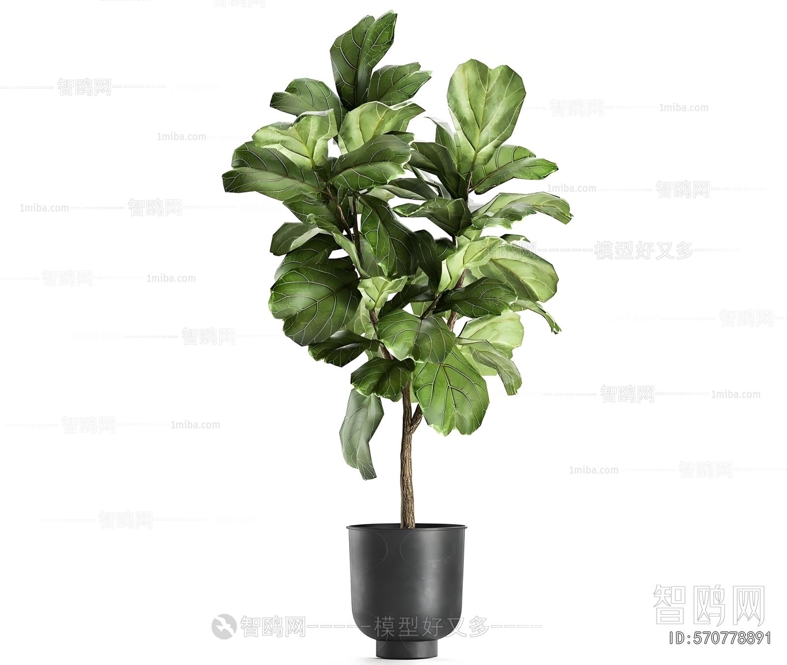 Modern Ground Green Plant Potted Plants