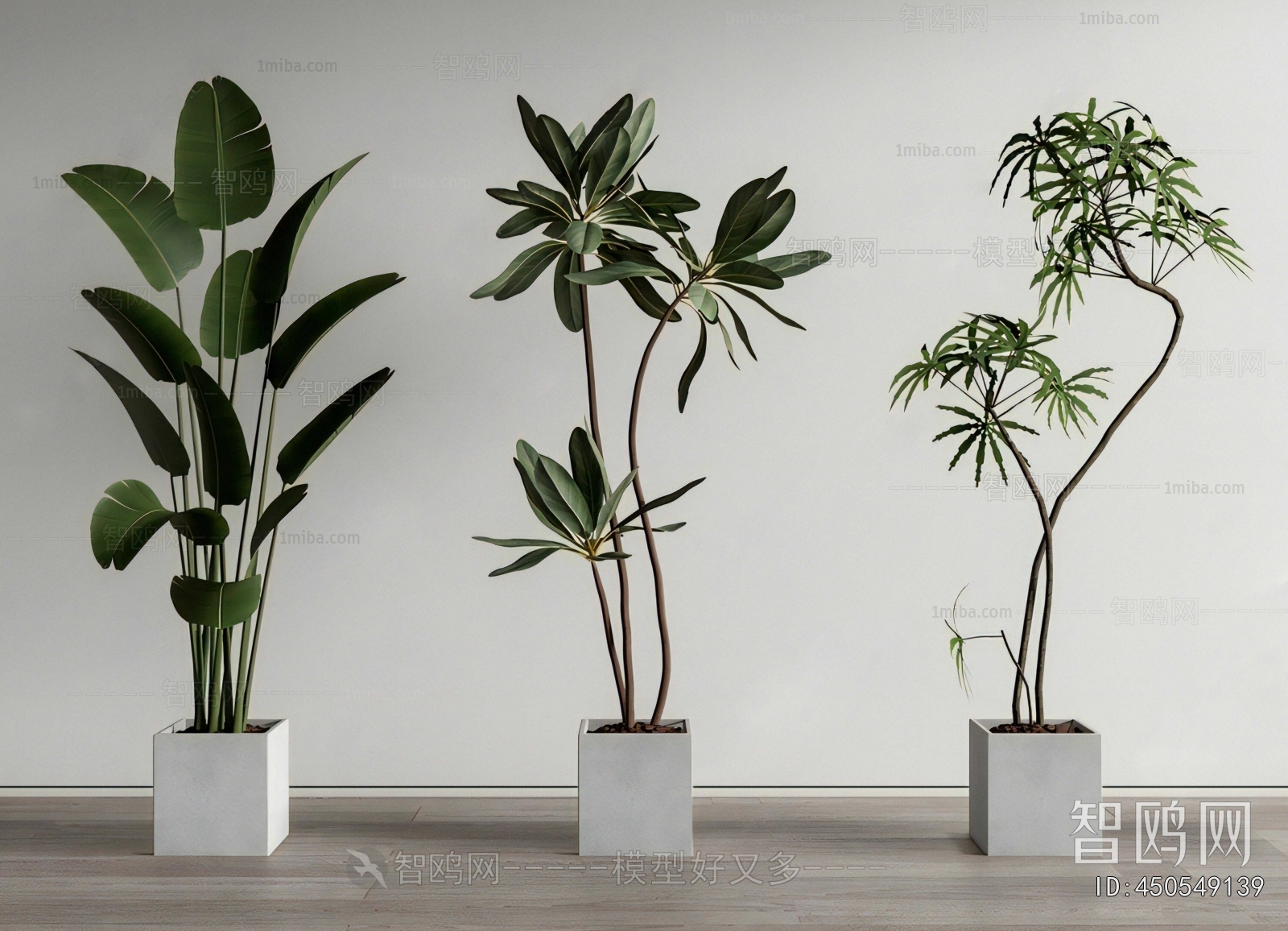 Modern Ground Green Plant Potted Plants