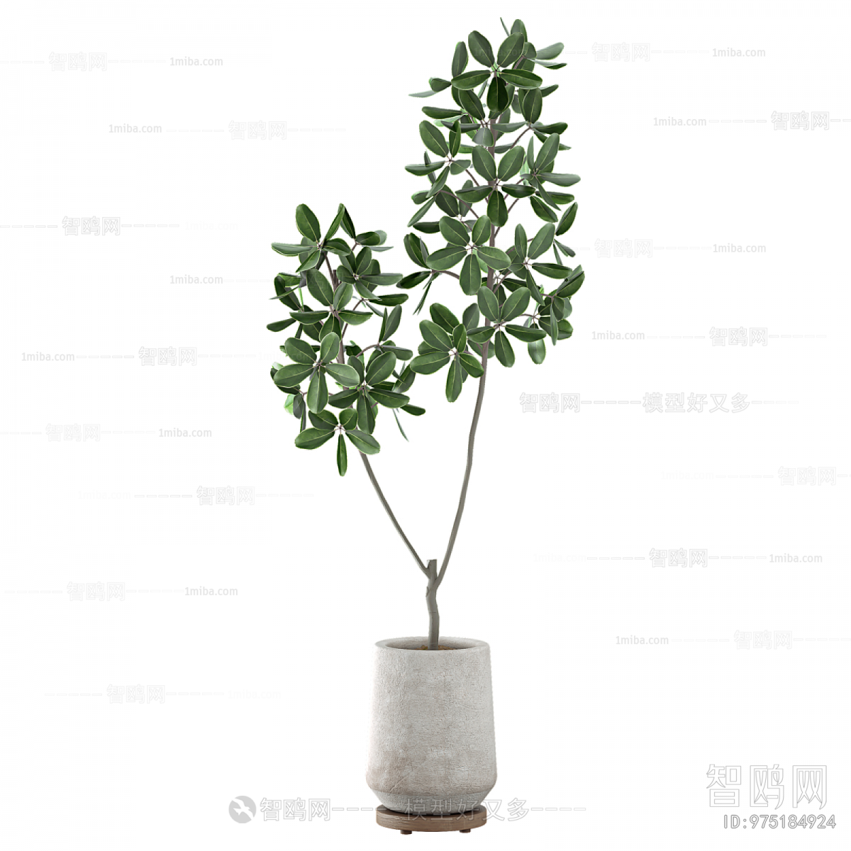 Modern Ground Green Plant Potted Plants