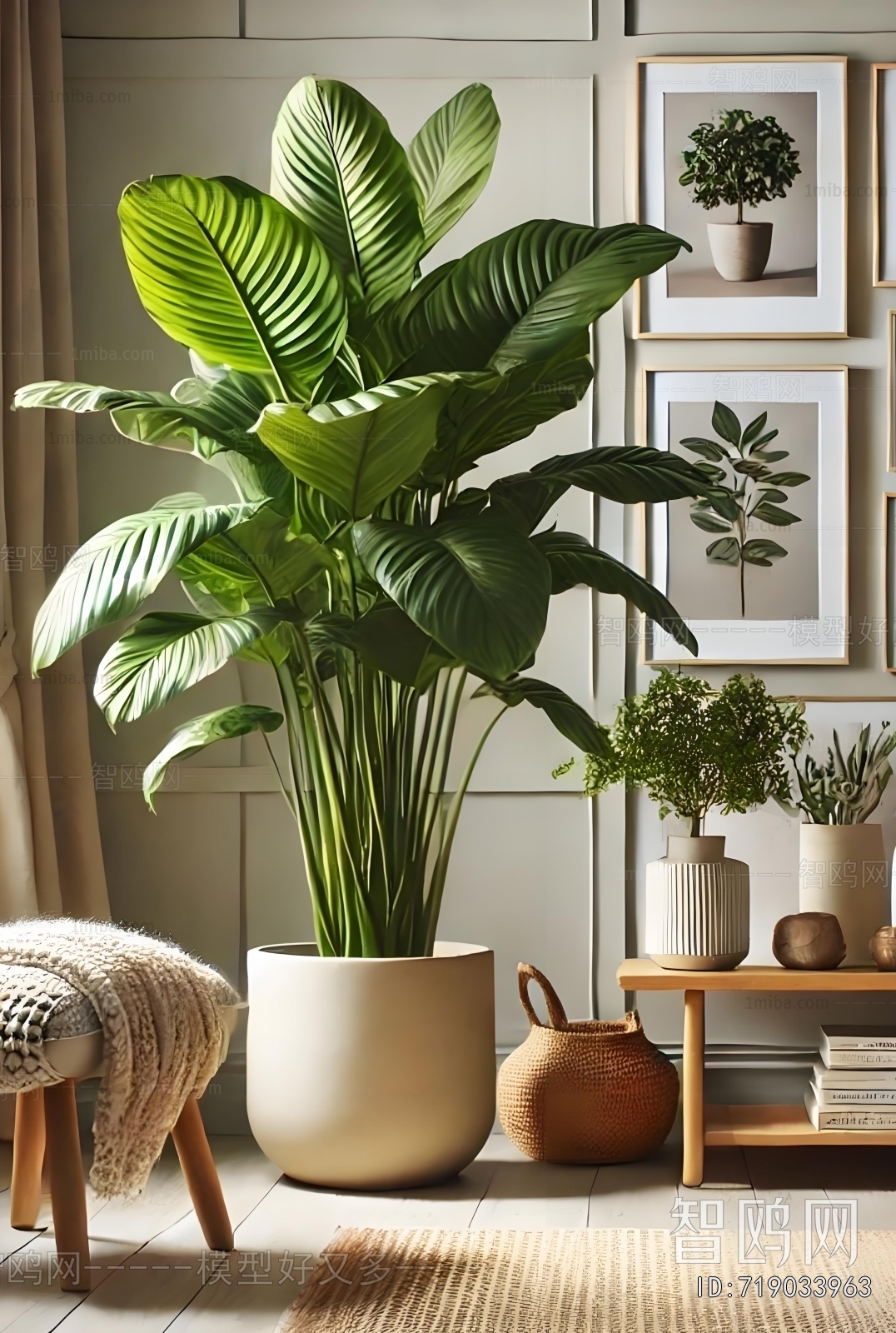 Modern Ground Green Plant Potted Plants