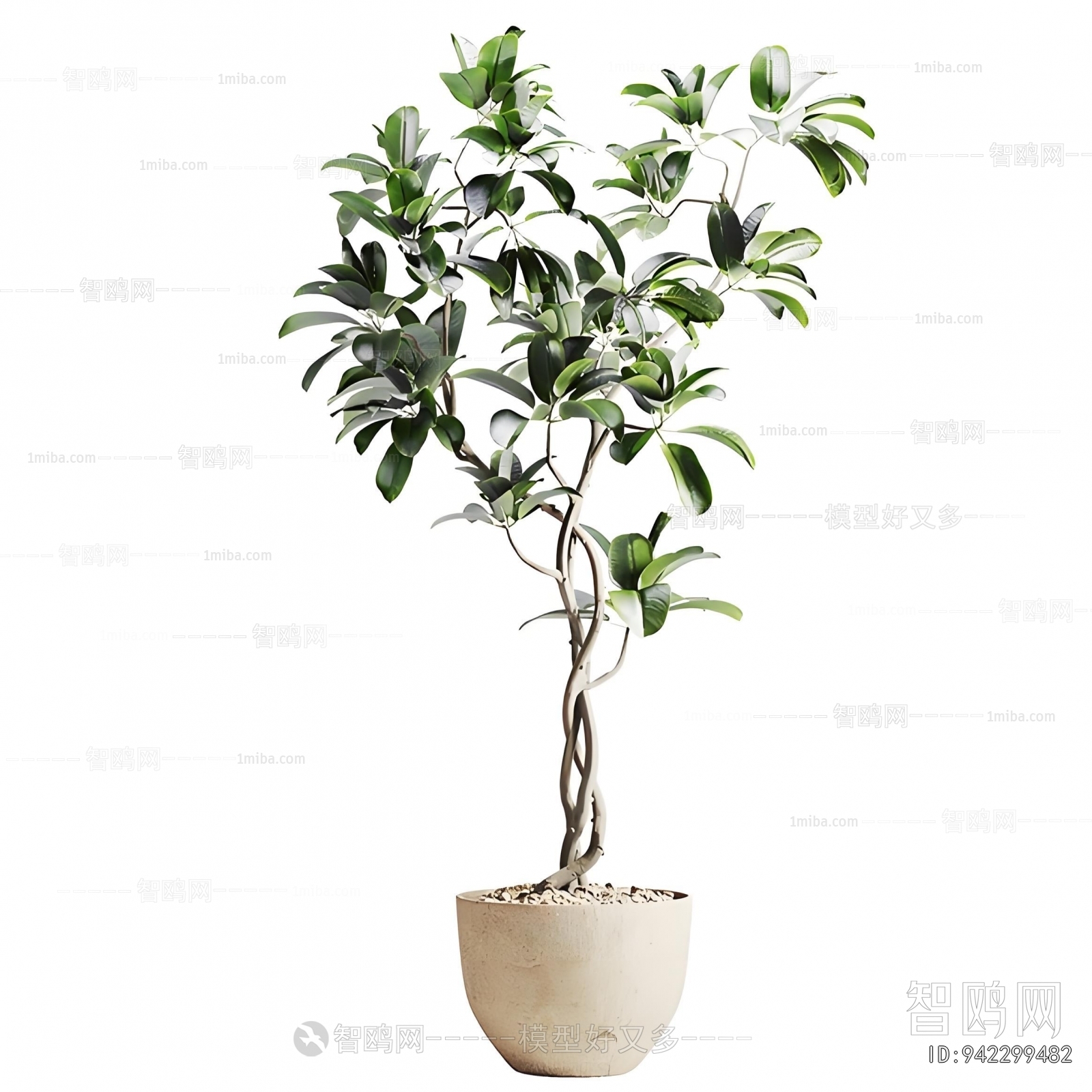 New Chinese Style Ground Green Plant Potted Plants