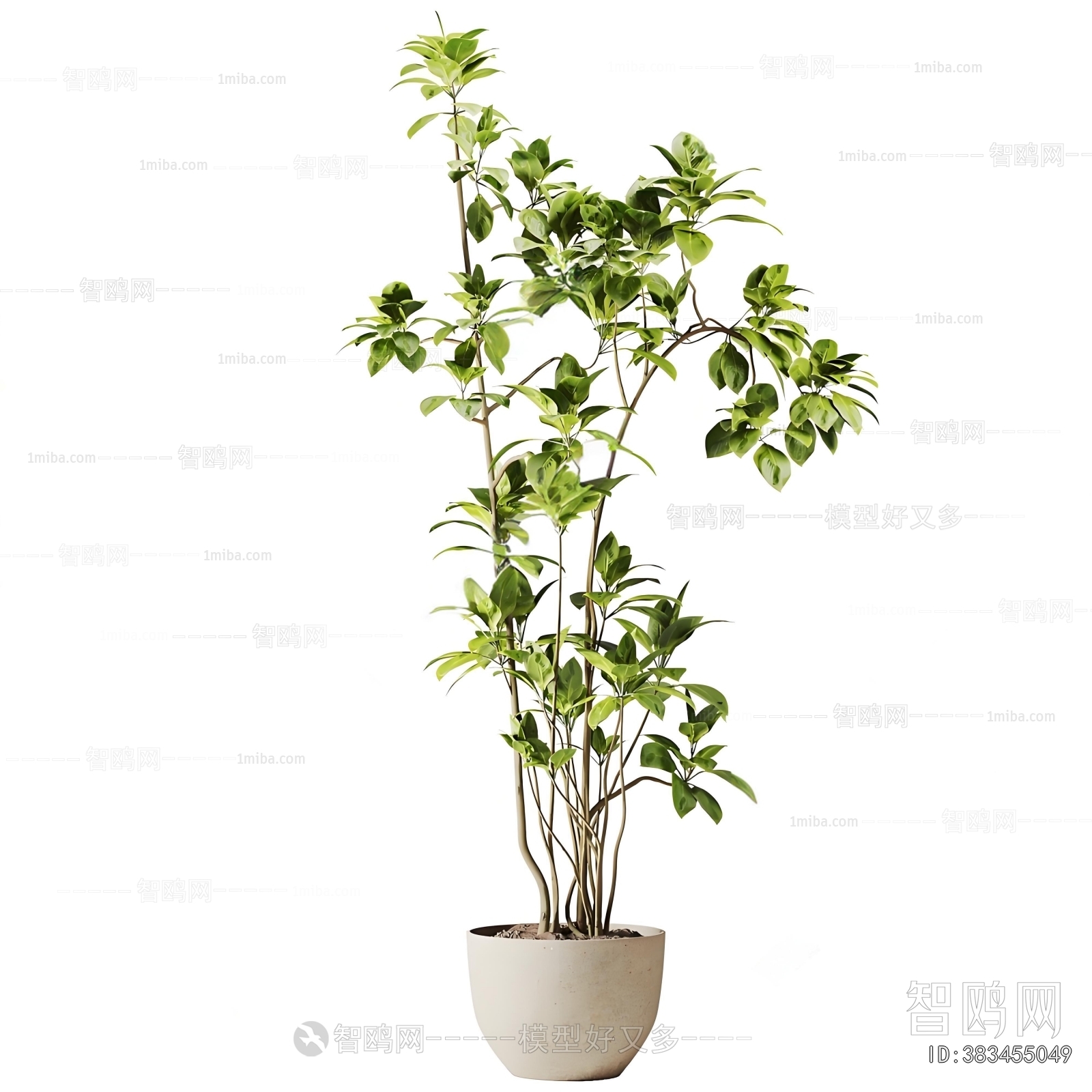 Modern Ground Green Plant Potted Plants