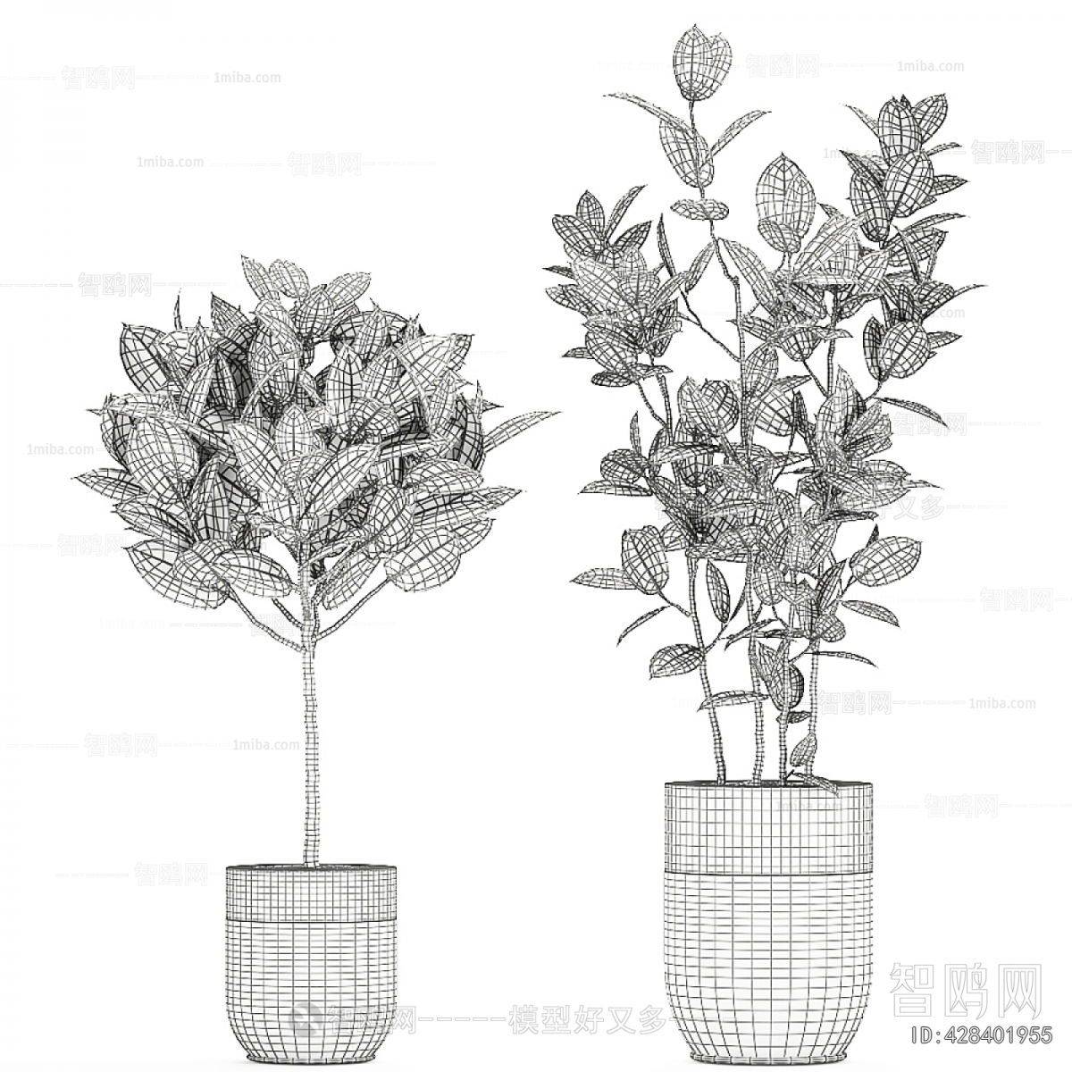 Modern Ground Green Plant Potted Plants