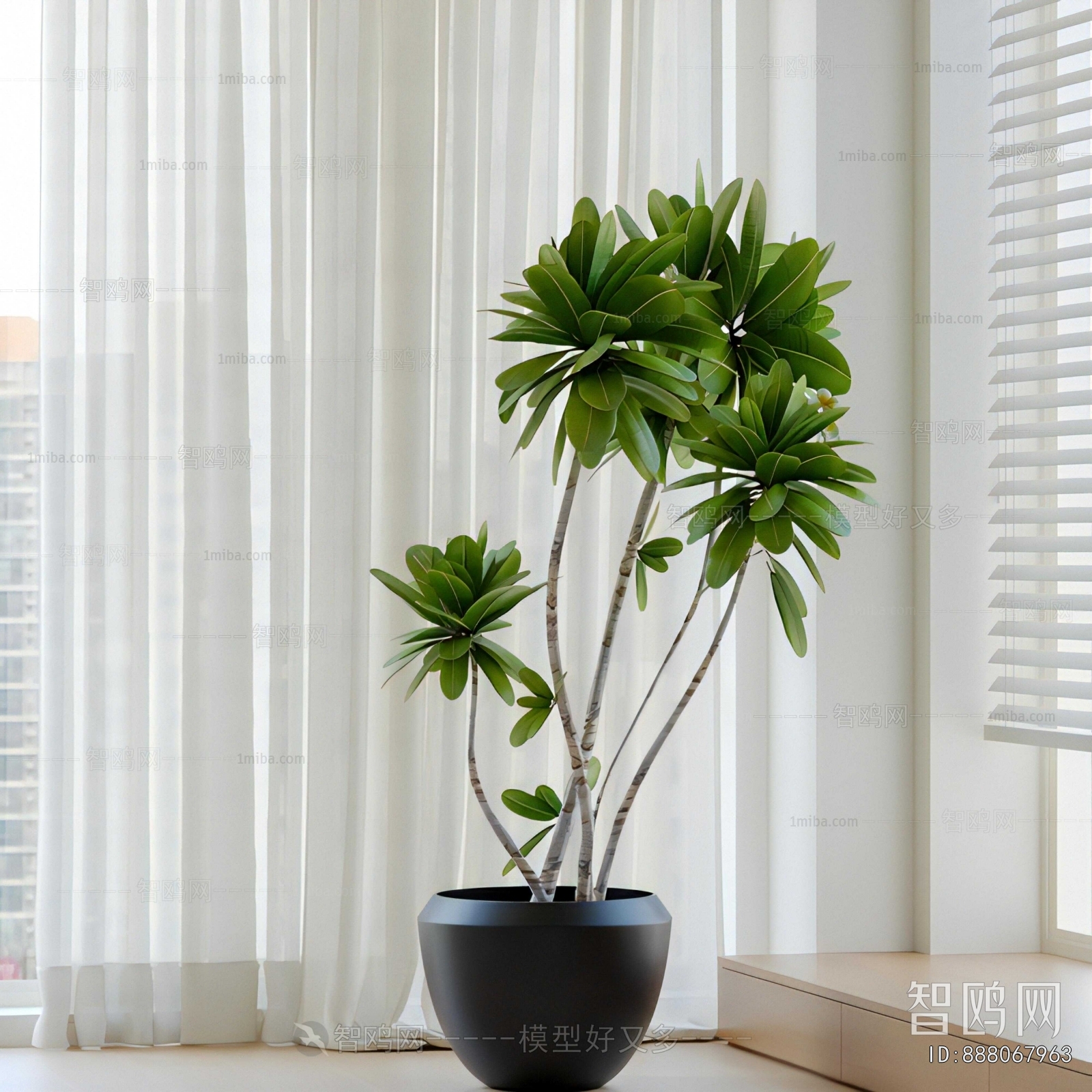 Modern Ground Green Plant Potted Plants