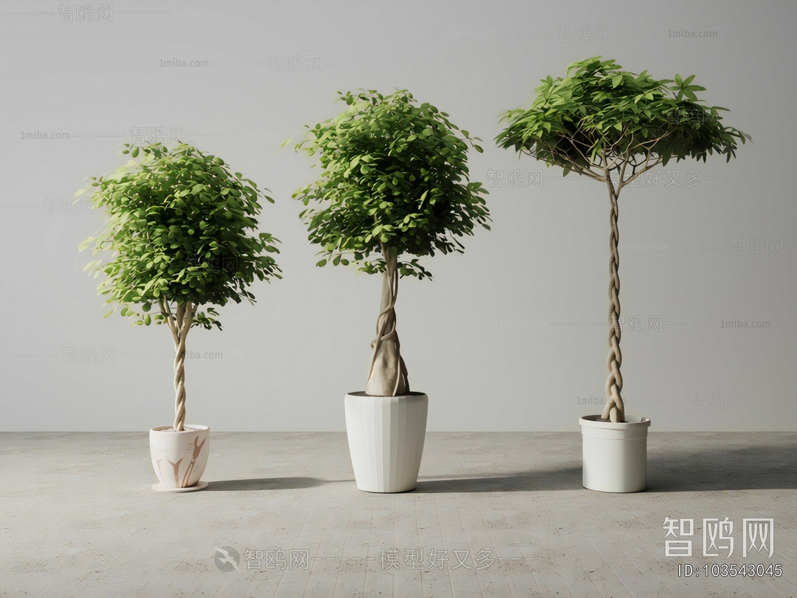 Modern Ground Green Plant Potted Plants