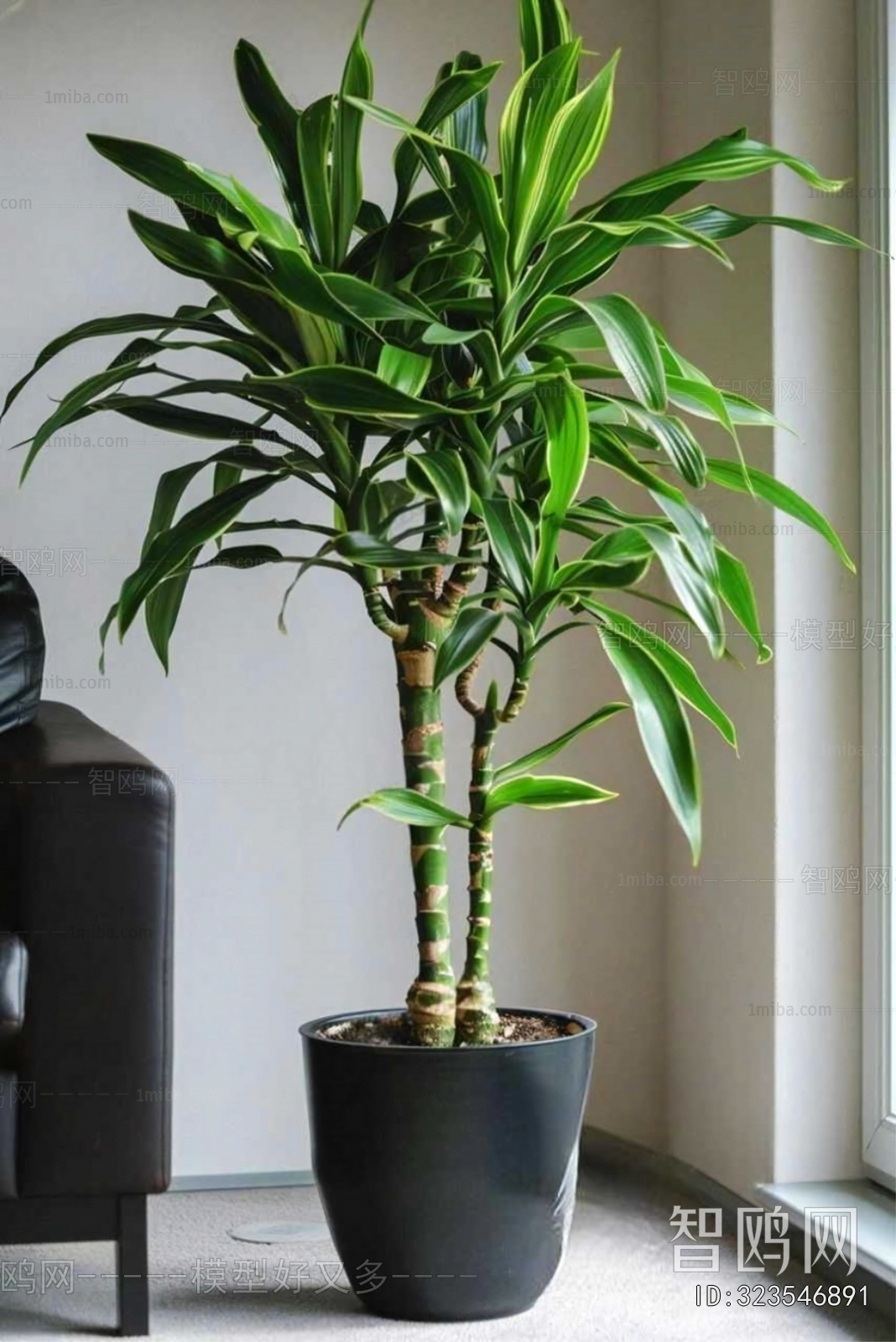 Modern Ground Green Plant Potted Plants