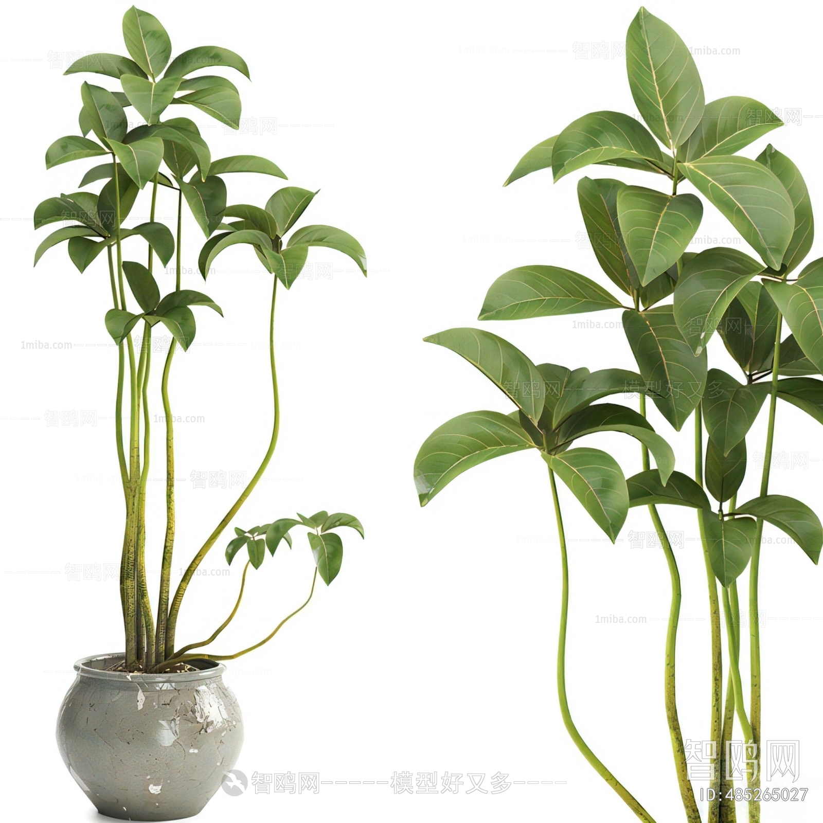 New Chinese Style Ground Green Plant Potted Plants