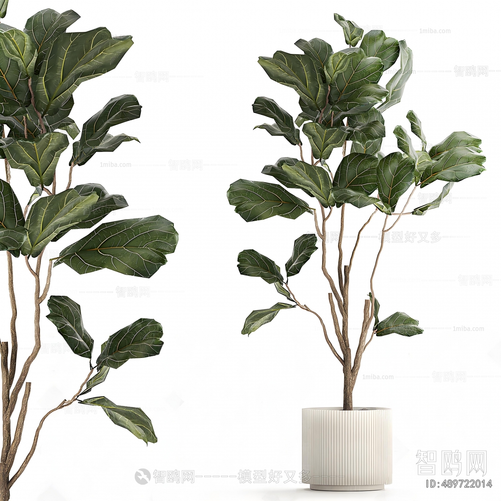 Modern Ground Green Plant Potted Plants