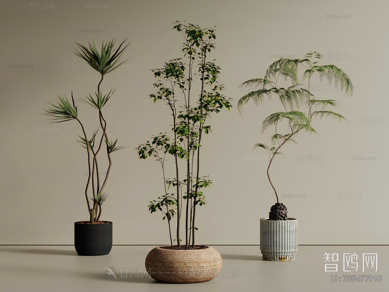 New Chinese Style Ground Green Plant Potted Plants